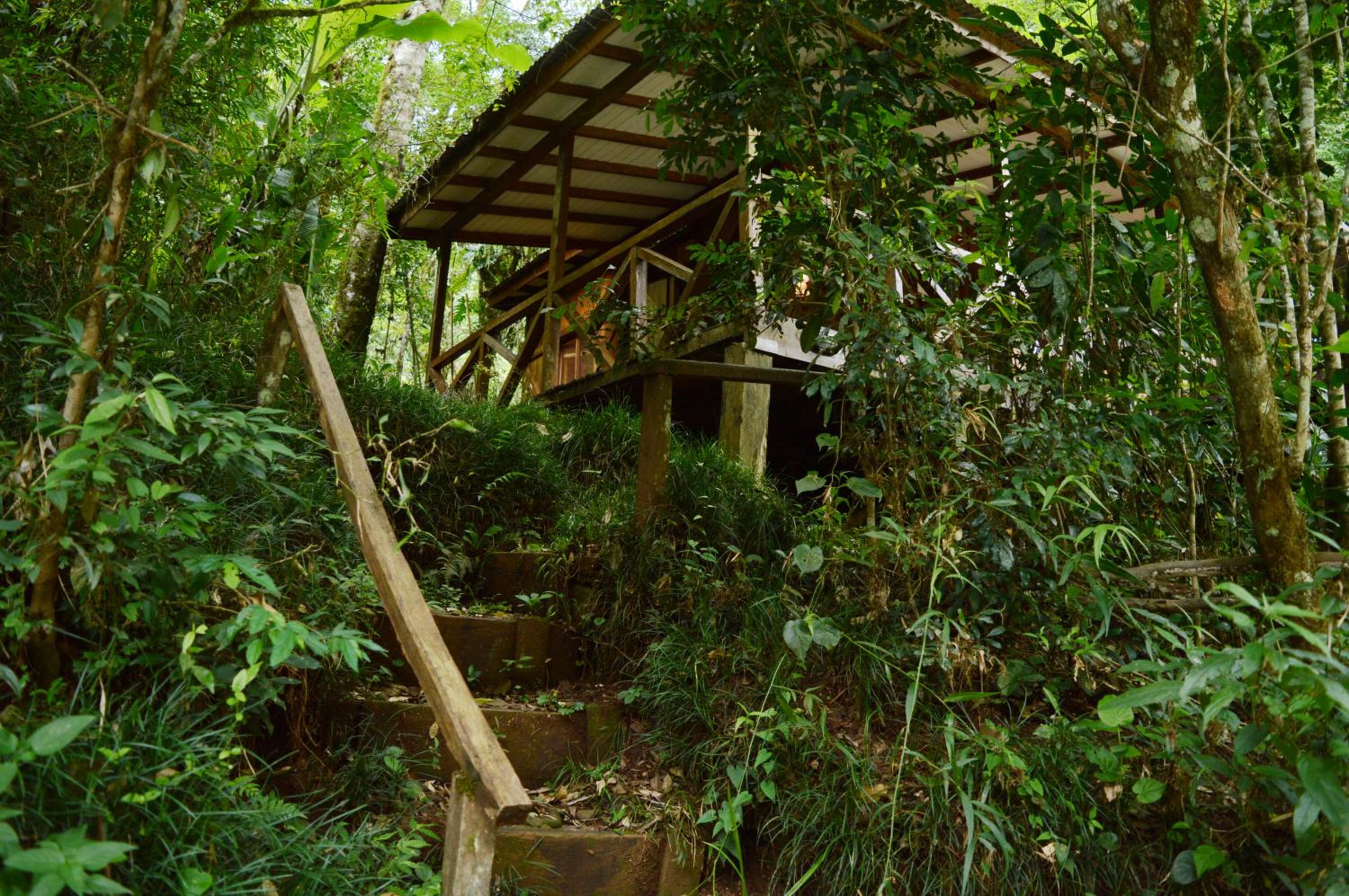 Margay - Reserva Natural y Lodge de Selva