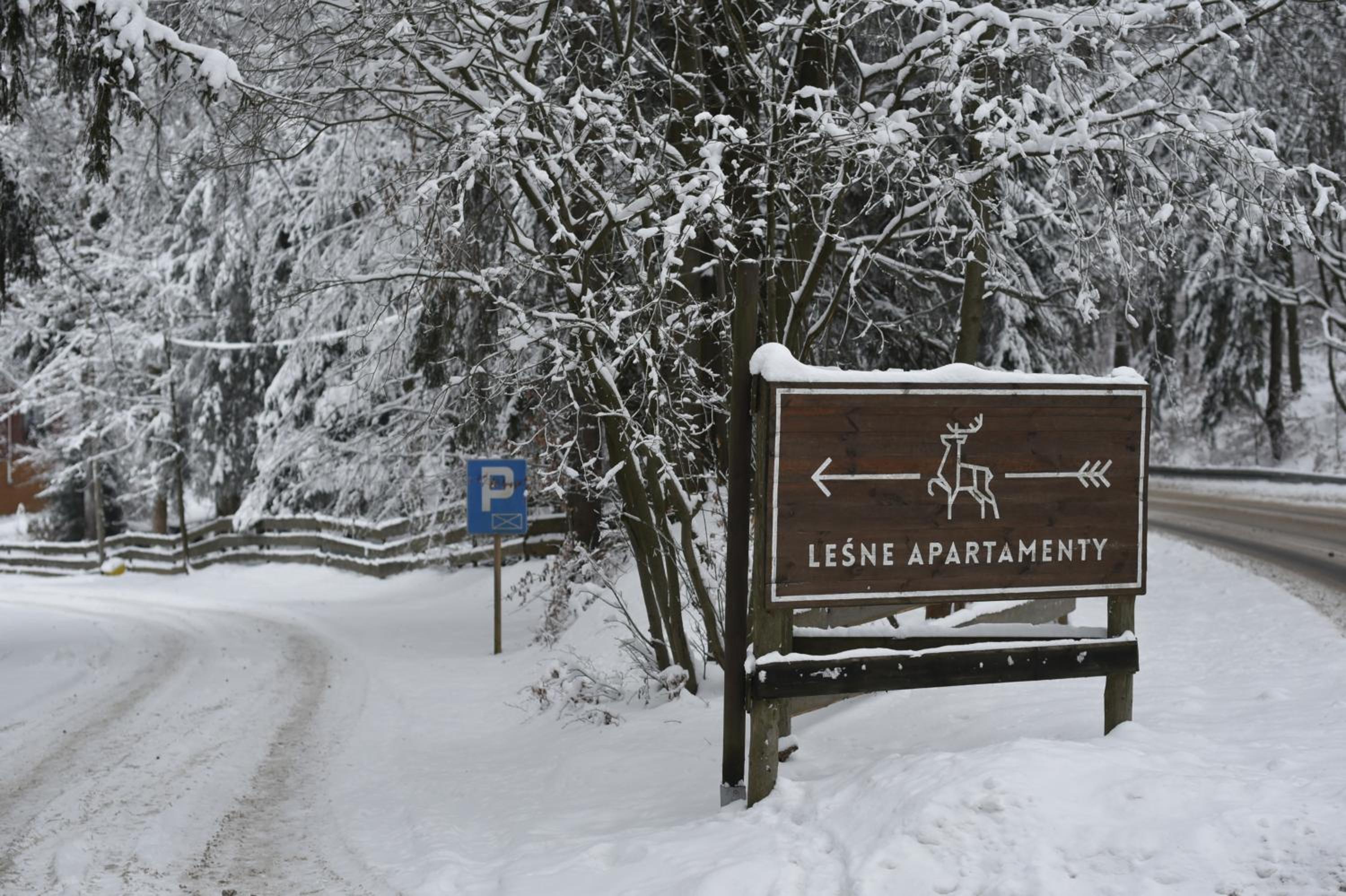 Leśne Apartamenty