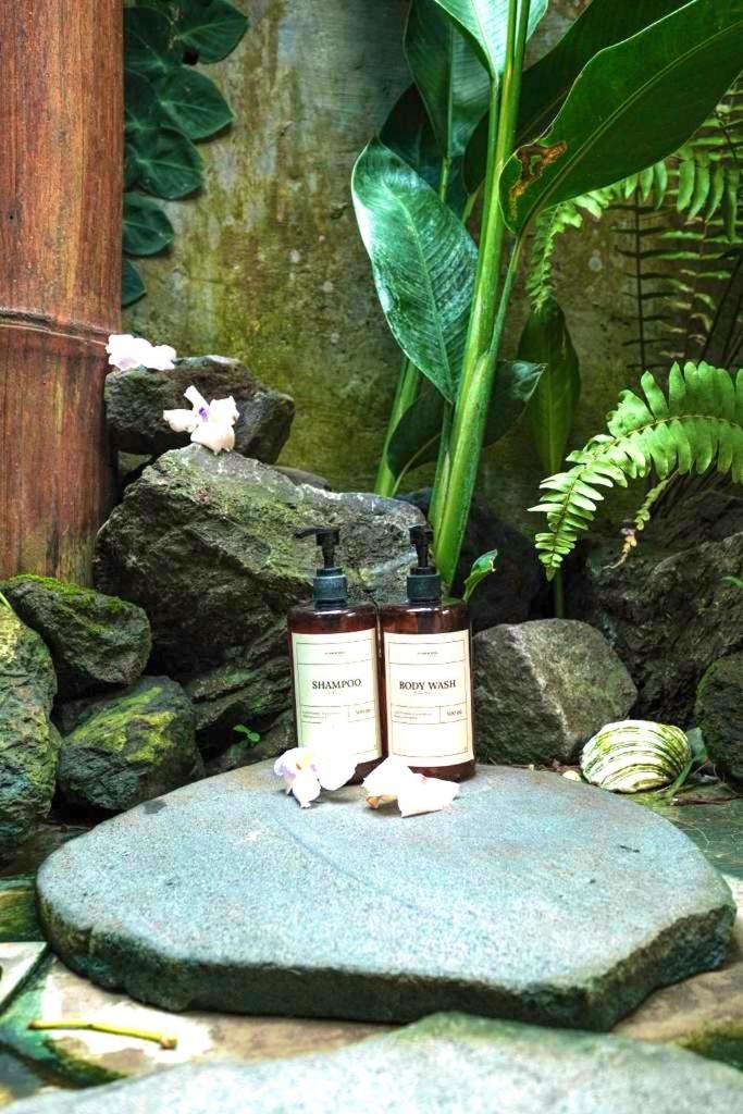 Eco Bamboo Jungle