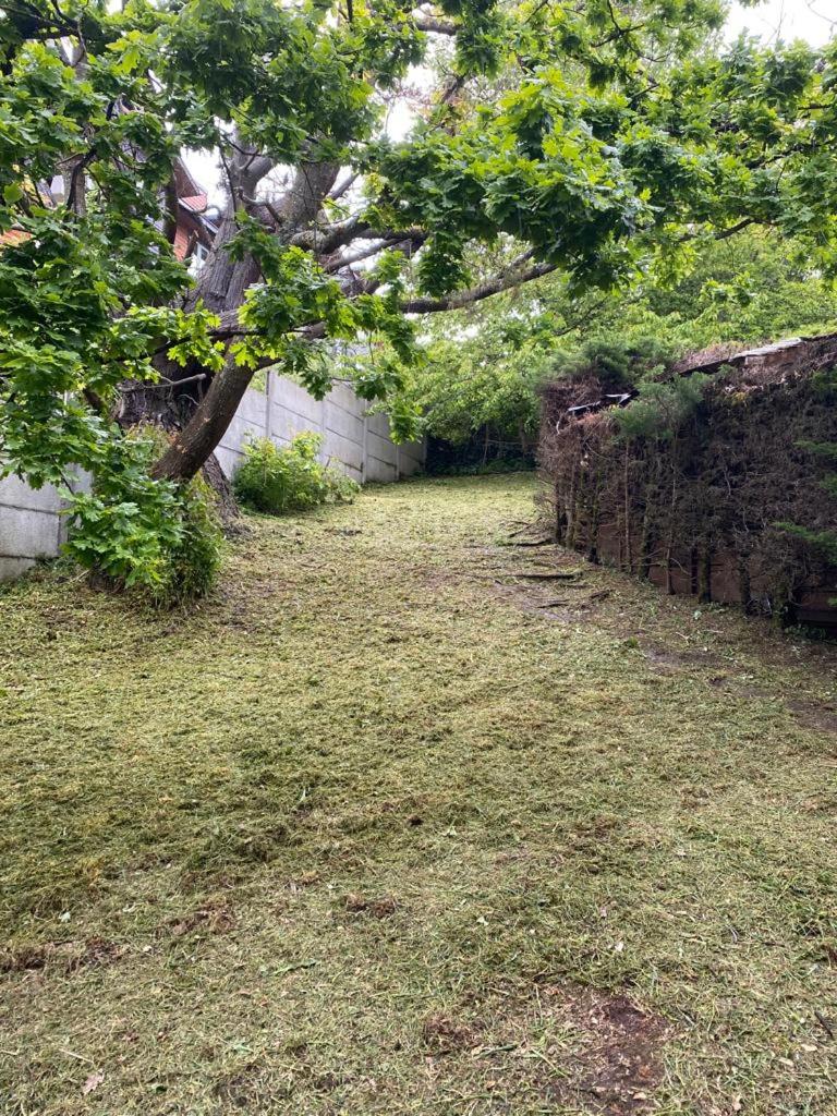 El Encino