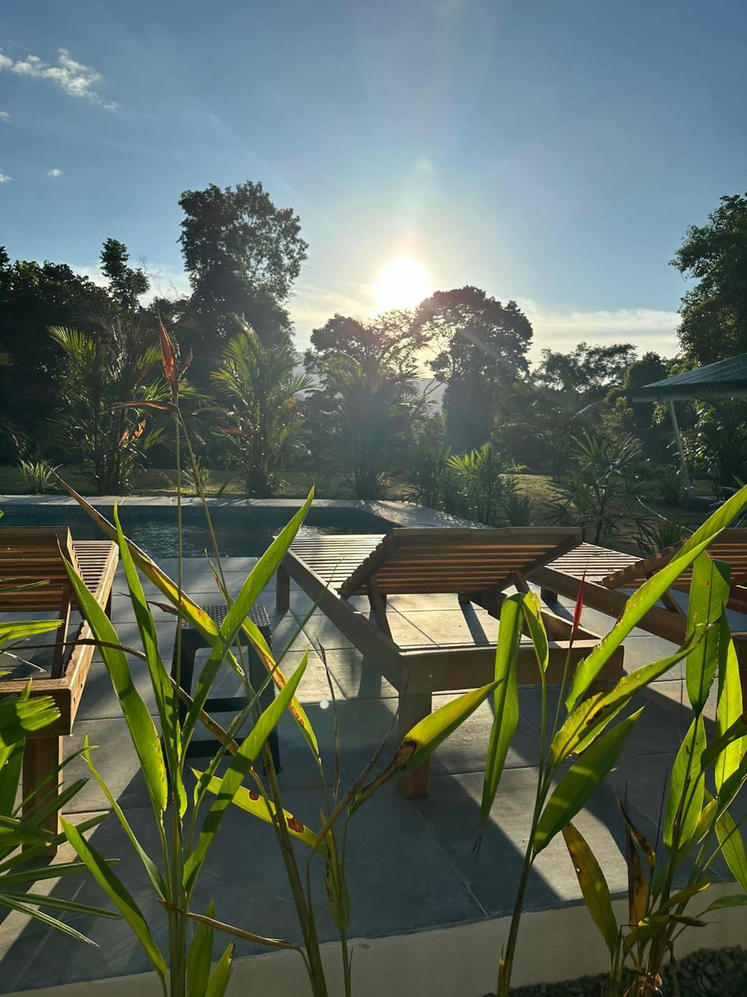 Junglebungalow