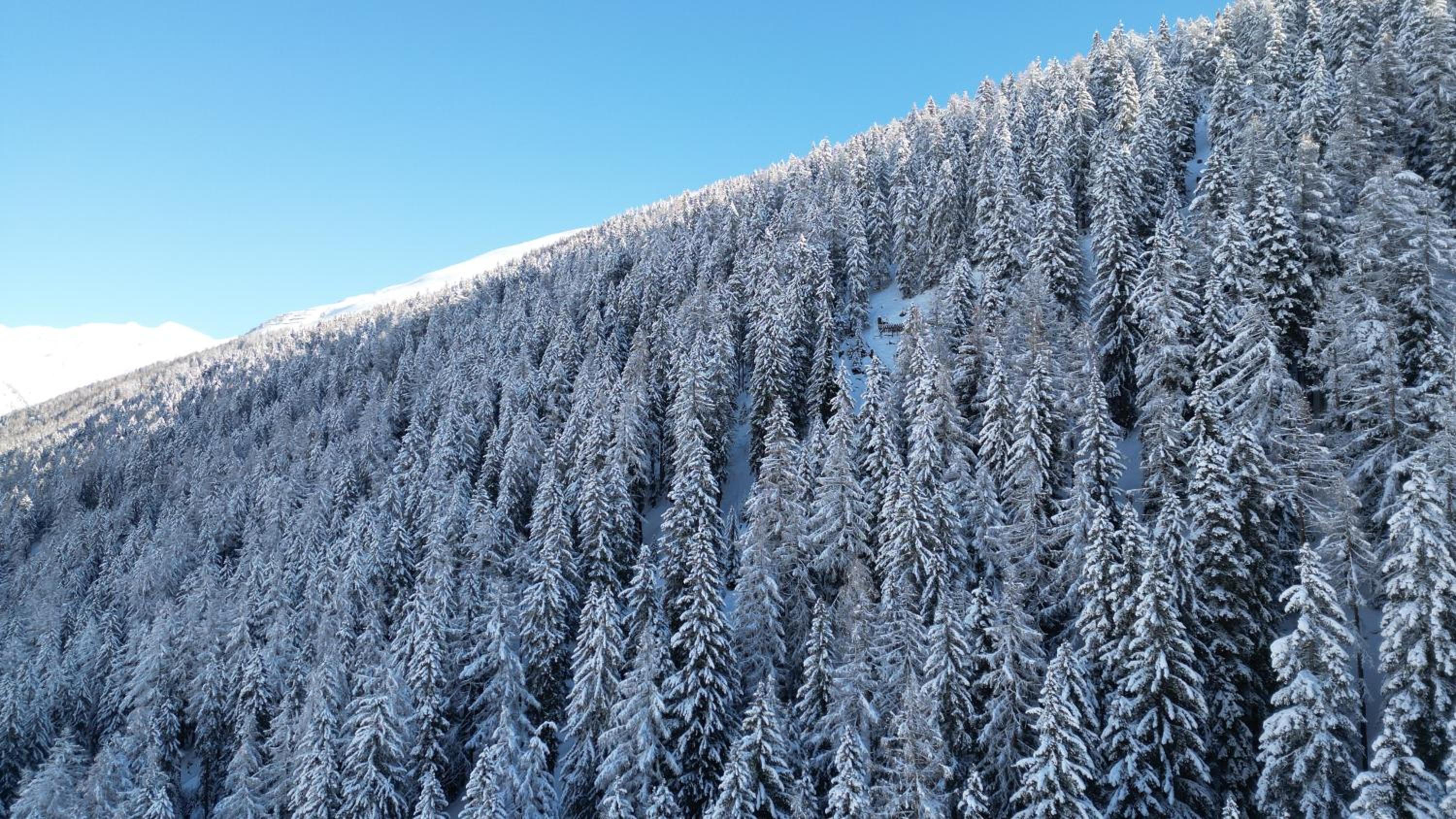 Chalet Meise