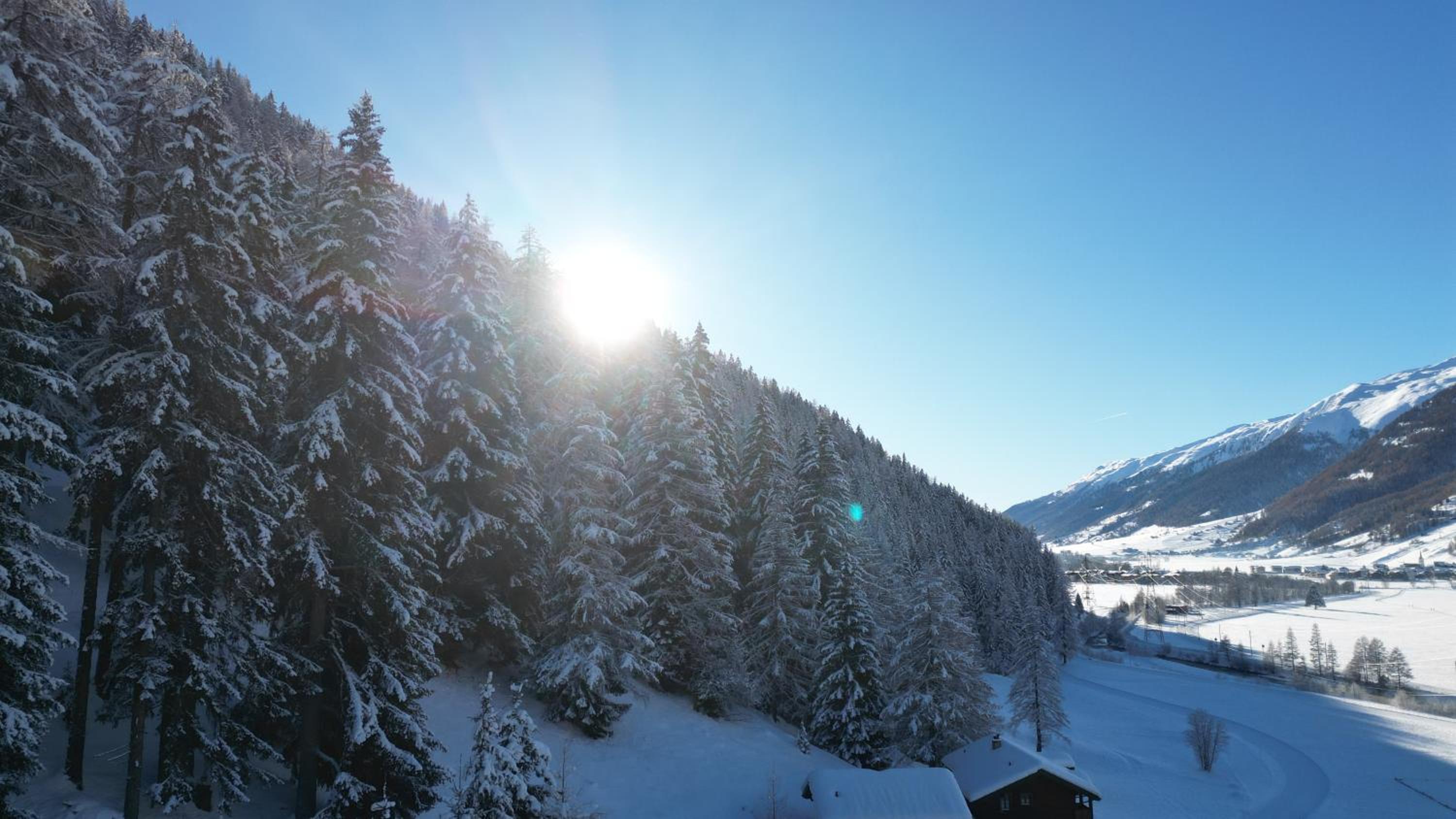 Chalet Meise