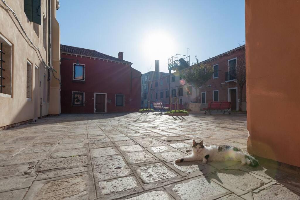 Ca' Ferrando, brand new apartment, experienced host!