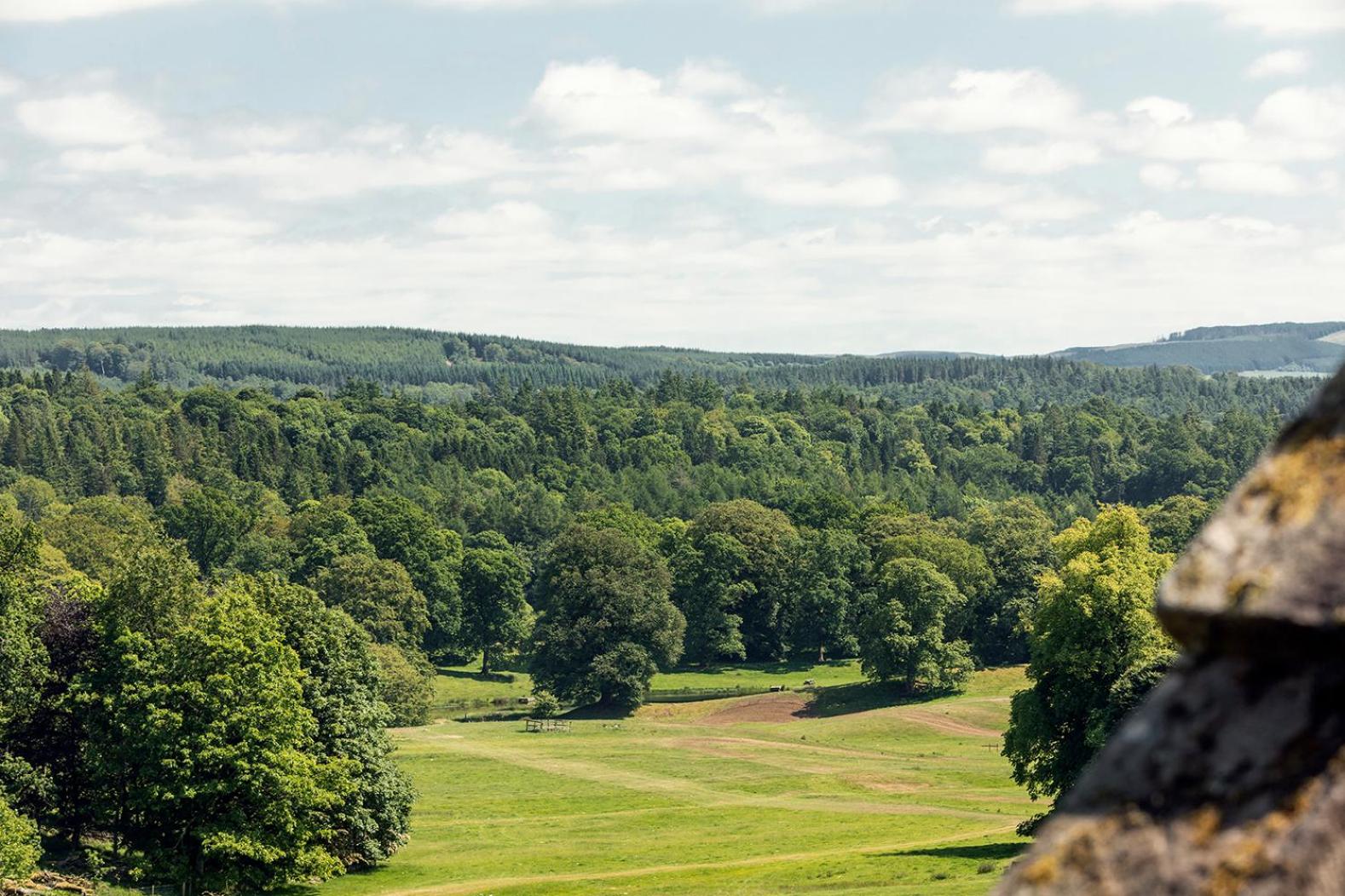 Drumlanrig Mains Cottage view 2