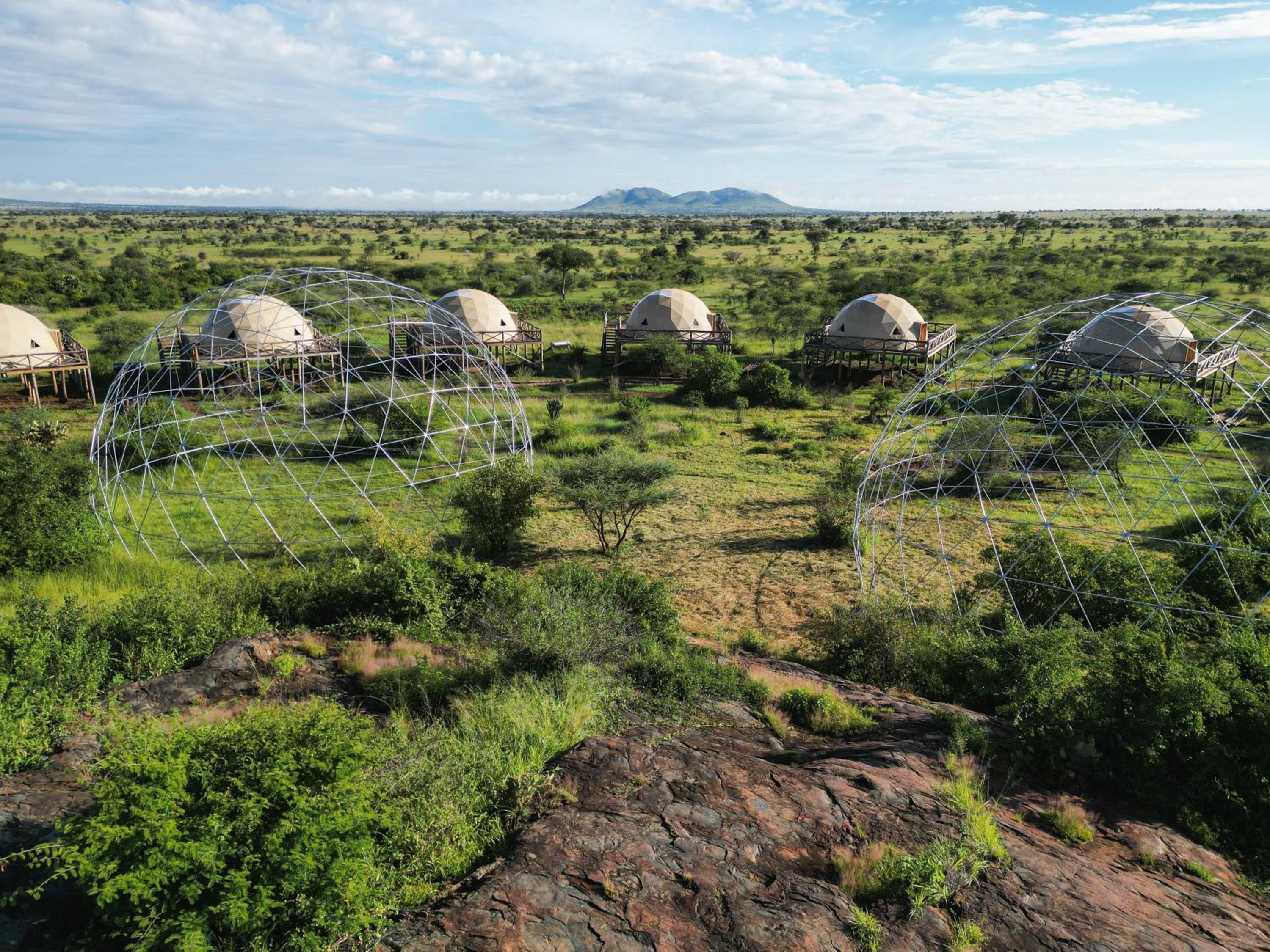 Kuoom Serengeti