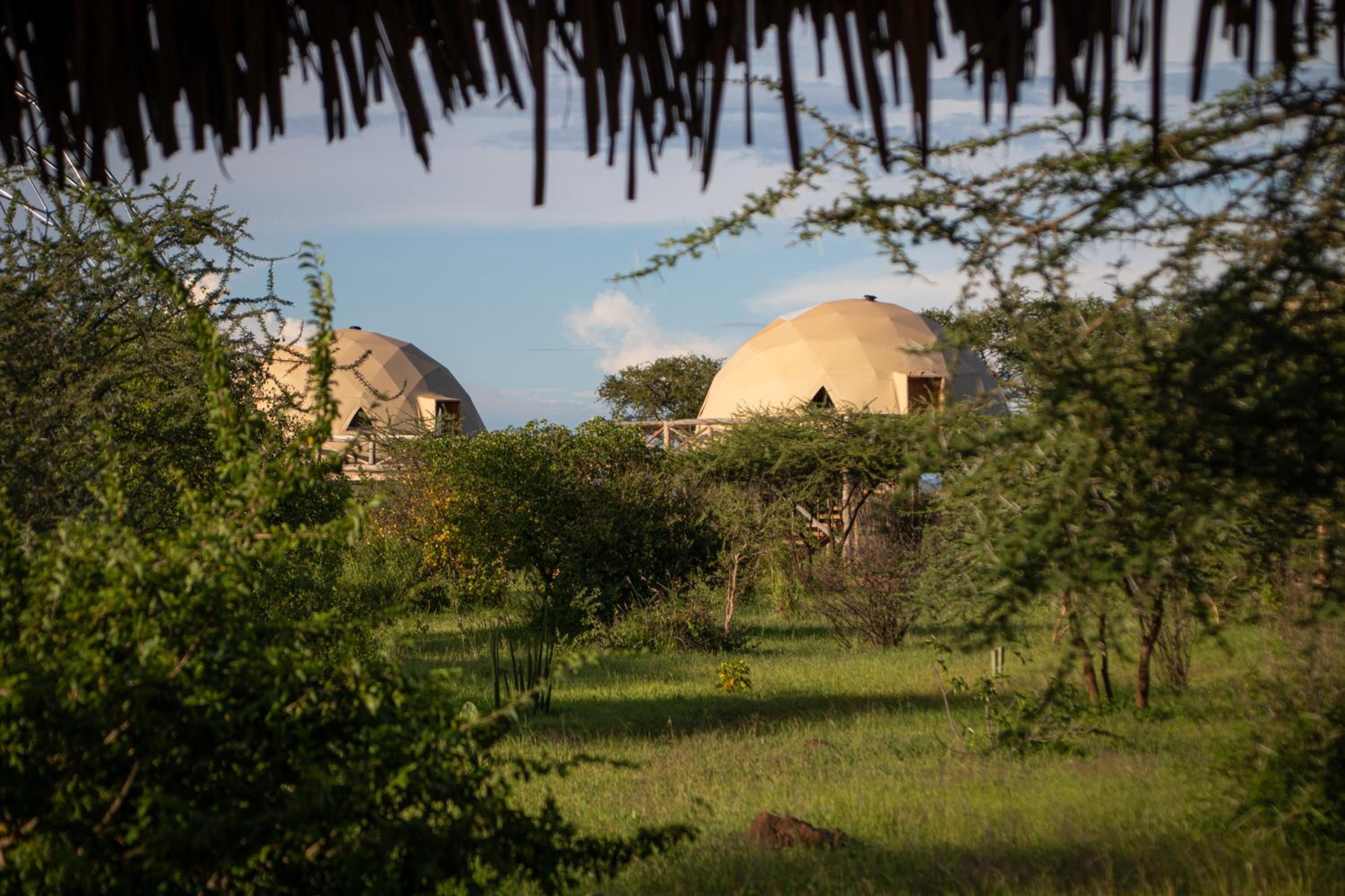 Kuoom Serengeti