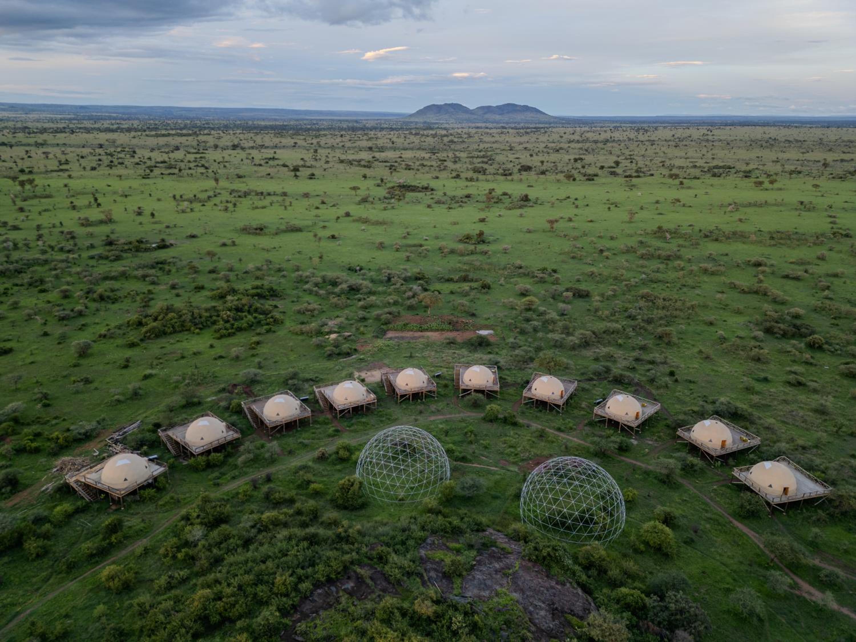 Kuoom Serengeti
