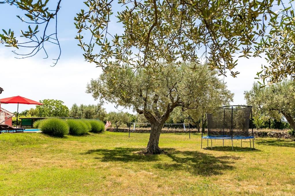 Villa Ljubica by IstriaLux view 4