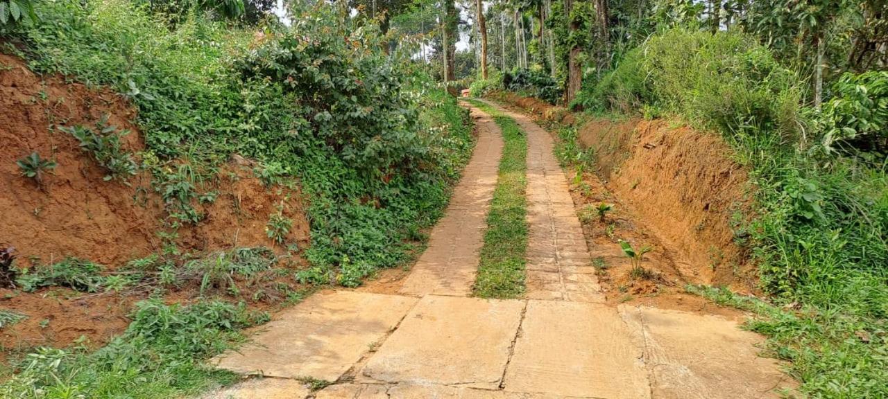 Mahika Heritage Villa view 4