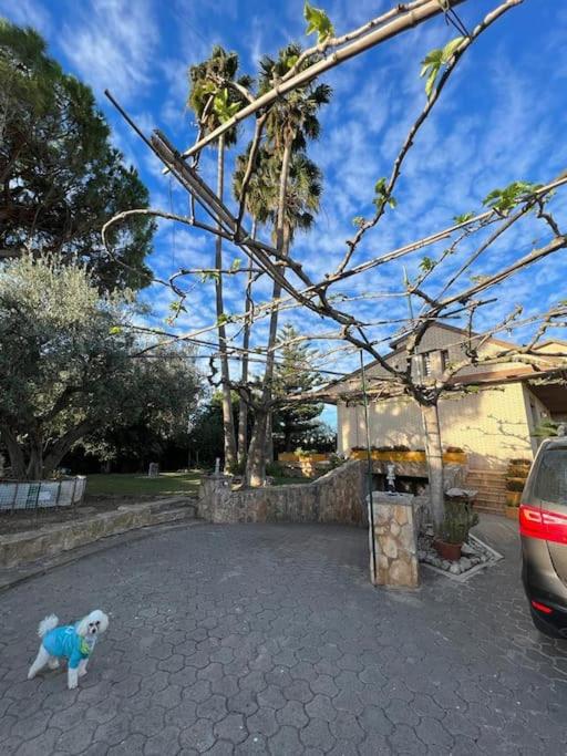 Casa Parra