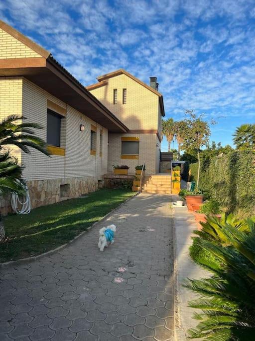Casa Parra