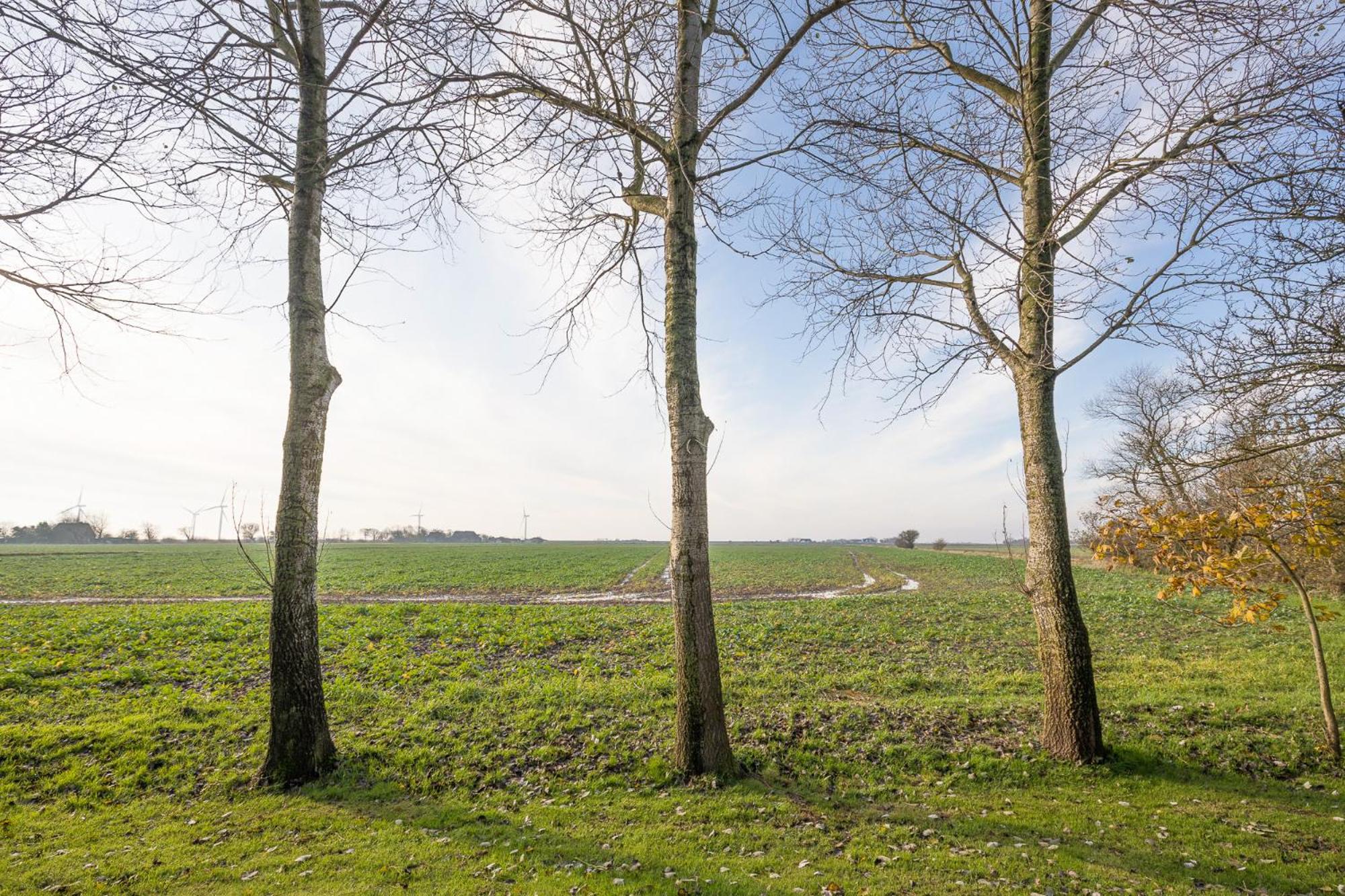 Levenshof