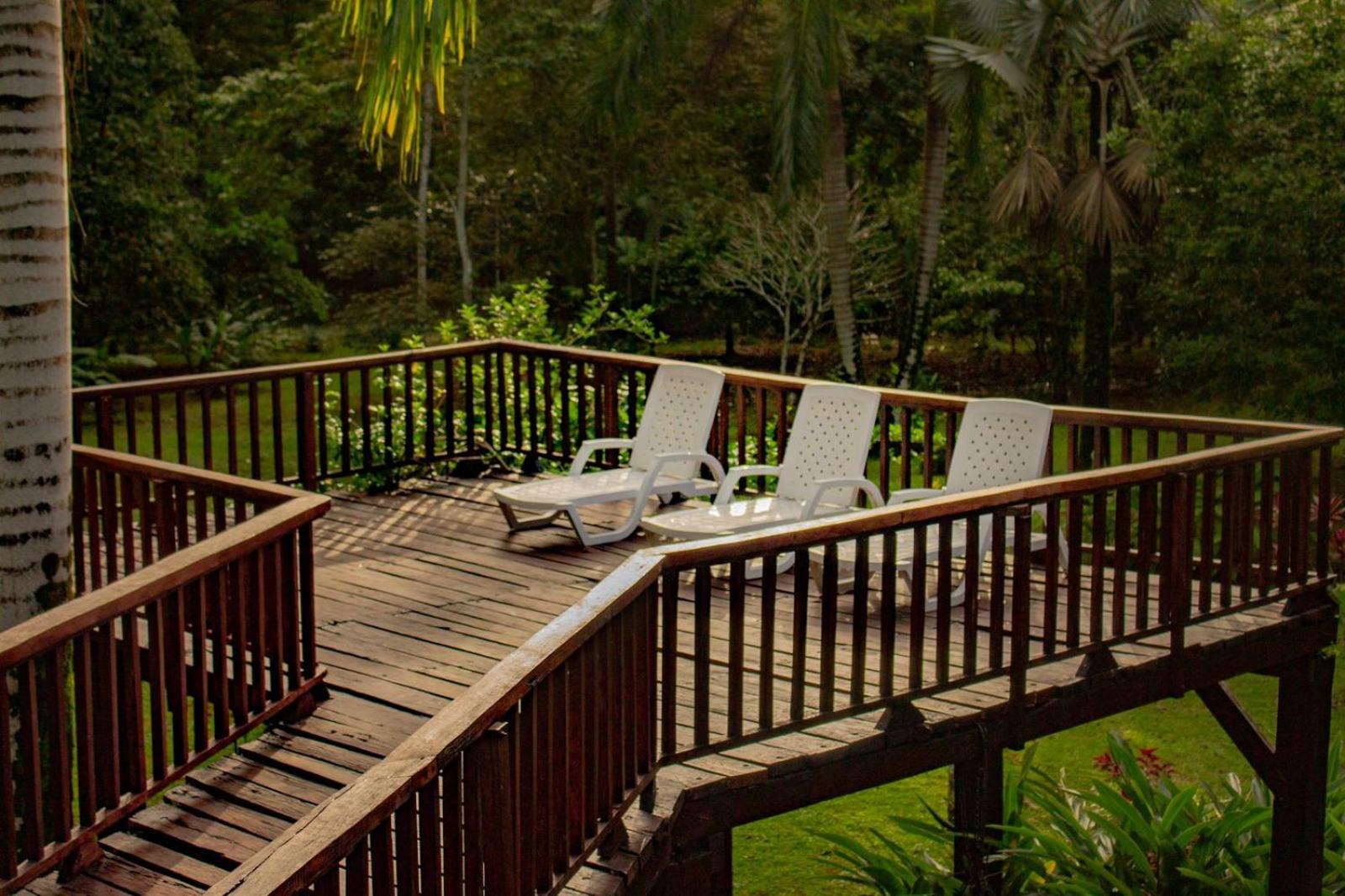 Casa Heliconia - spacious, big garden, close to the beach