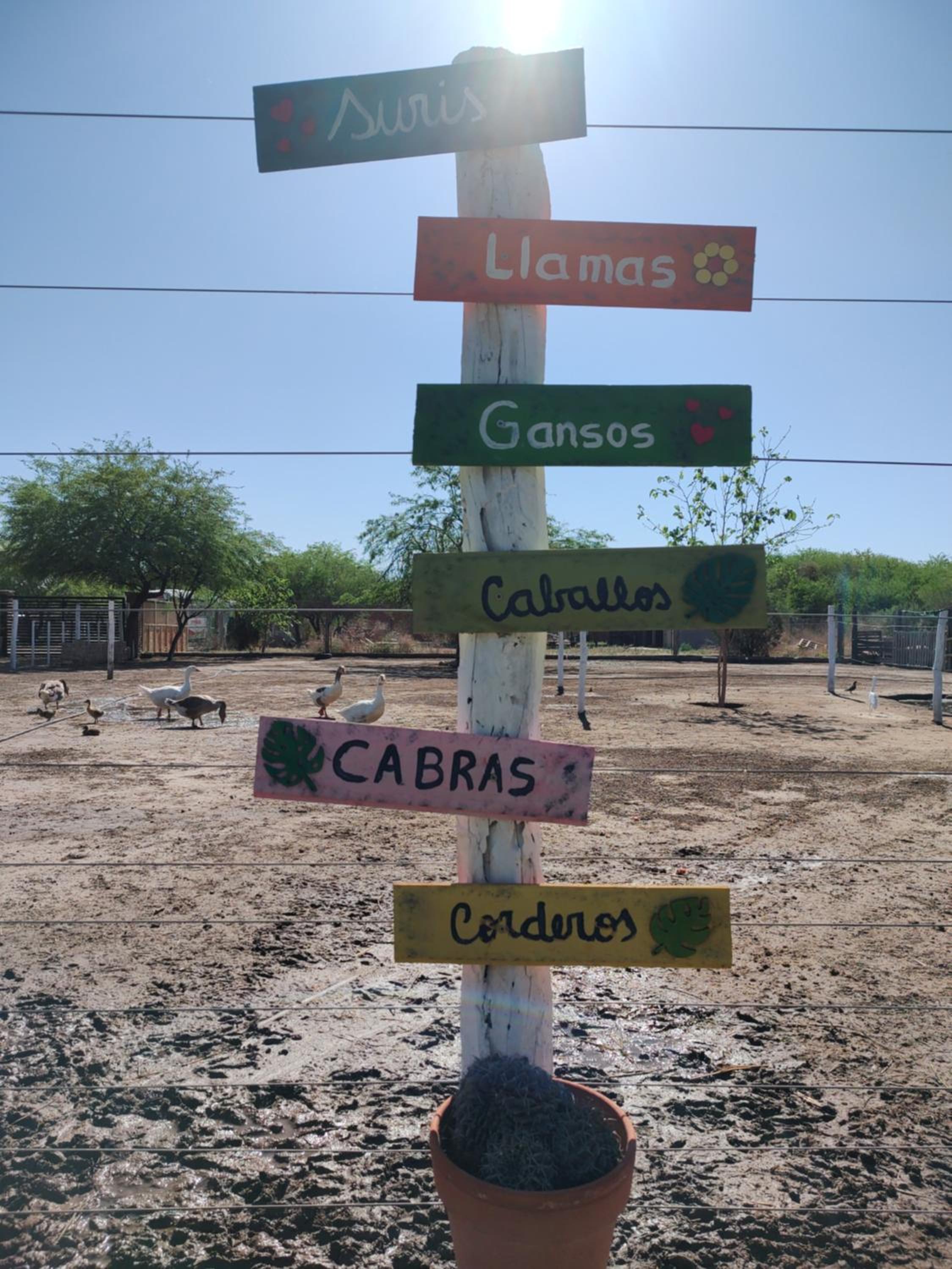 finca granja la soñadita