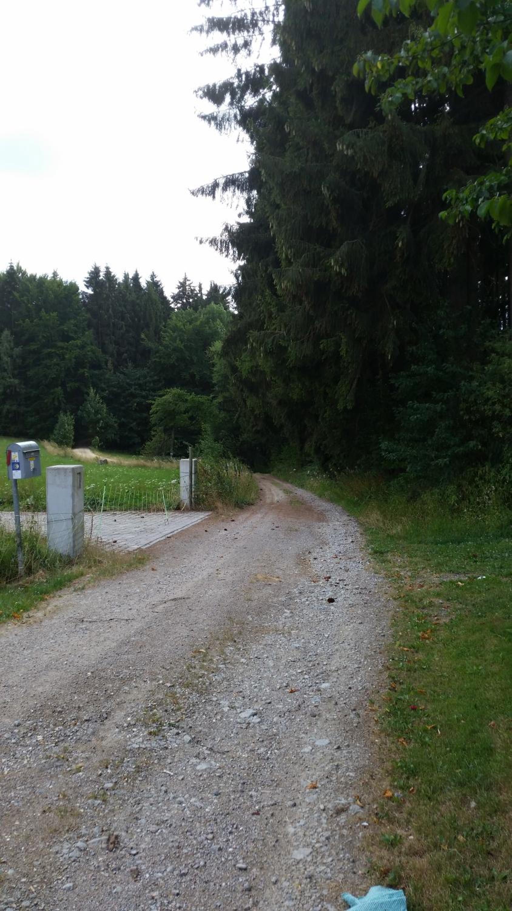 Photo 17