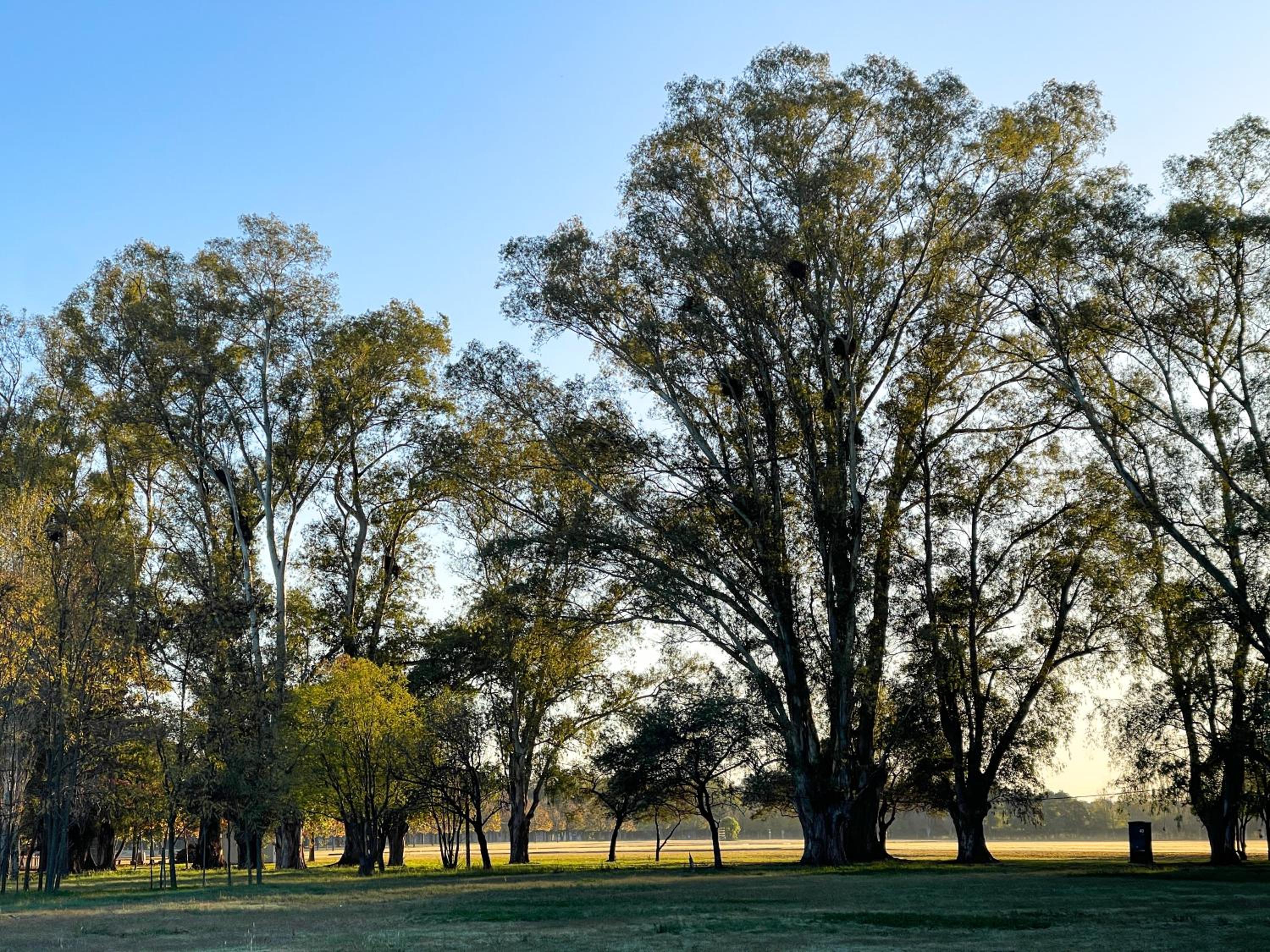 Casa Aguaribay - Paraje Ellerstina