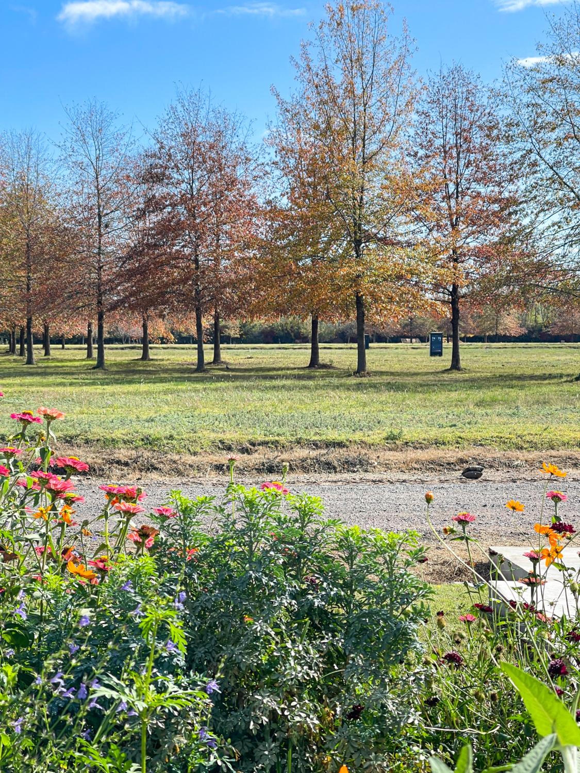 Casa Aguaribay - Paraje Ellerstina