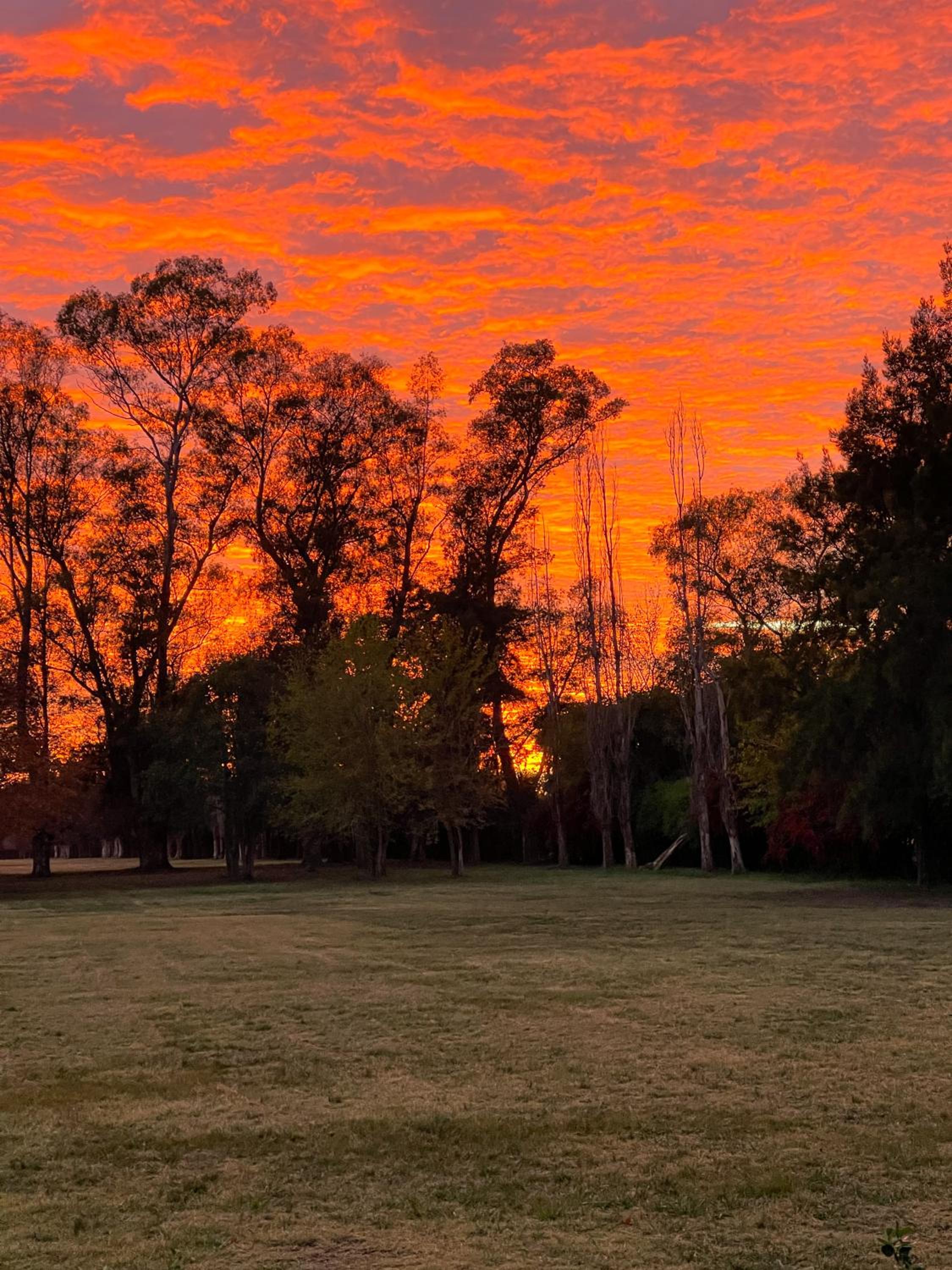 Casa Aguaribay - Paraje Ellerstina