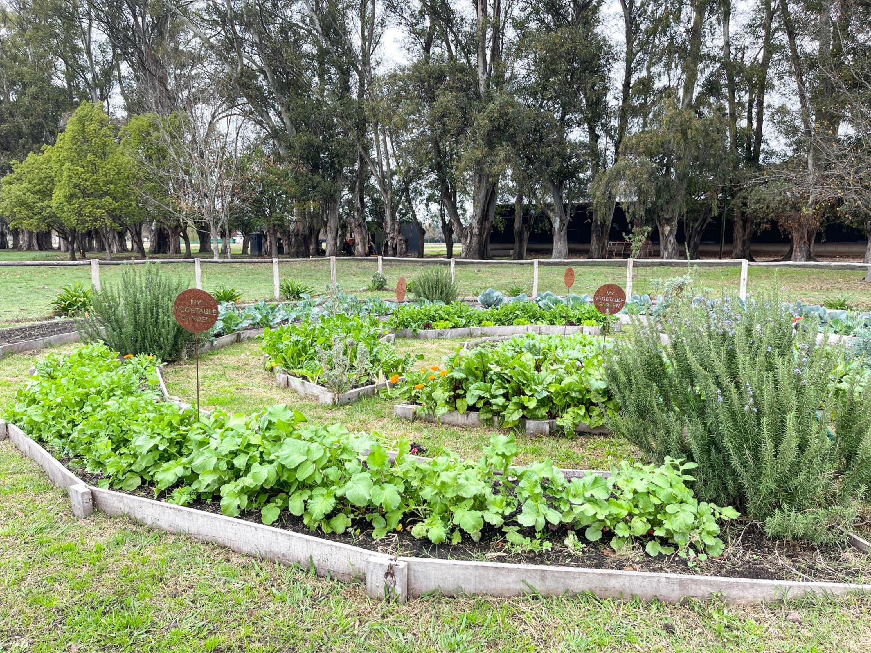 Casa Aguaribay - Paraje Ellerstina