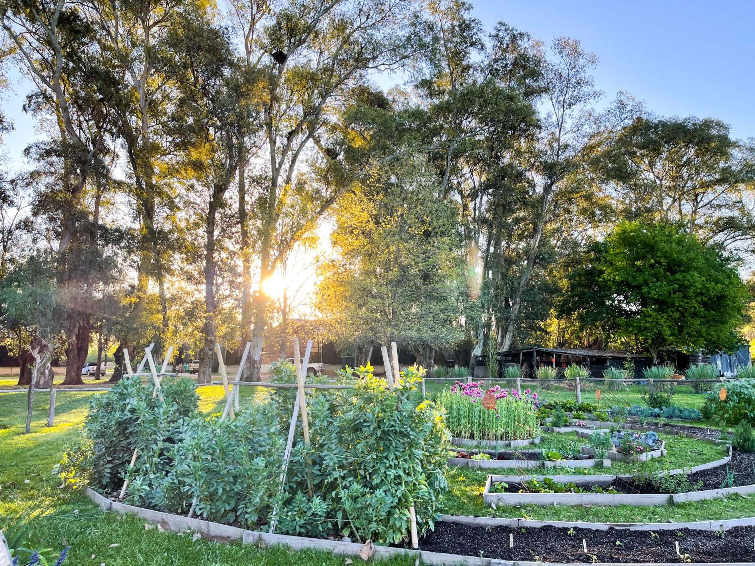 Casa Aguaribay - Paraje Ellerstina