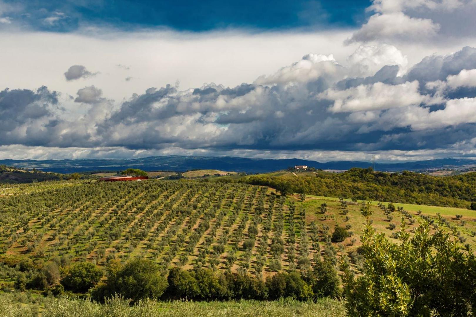 Wine Relais In Montecucco - ColleMassari Hospitality