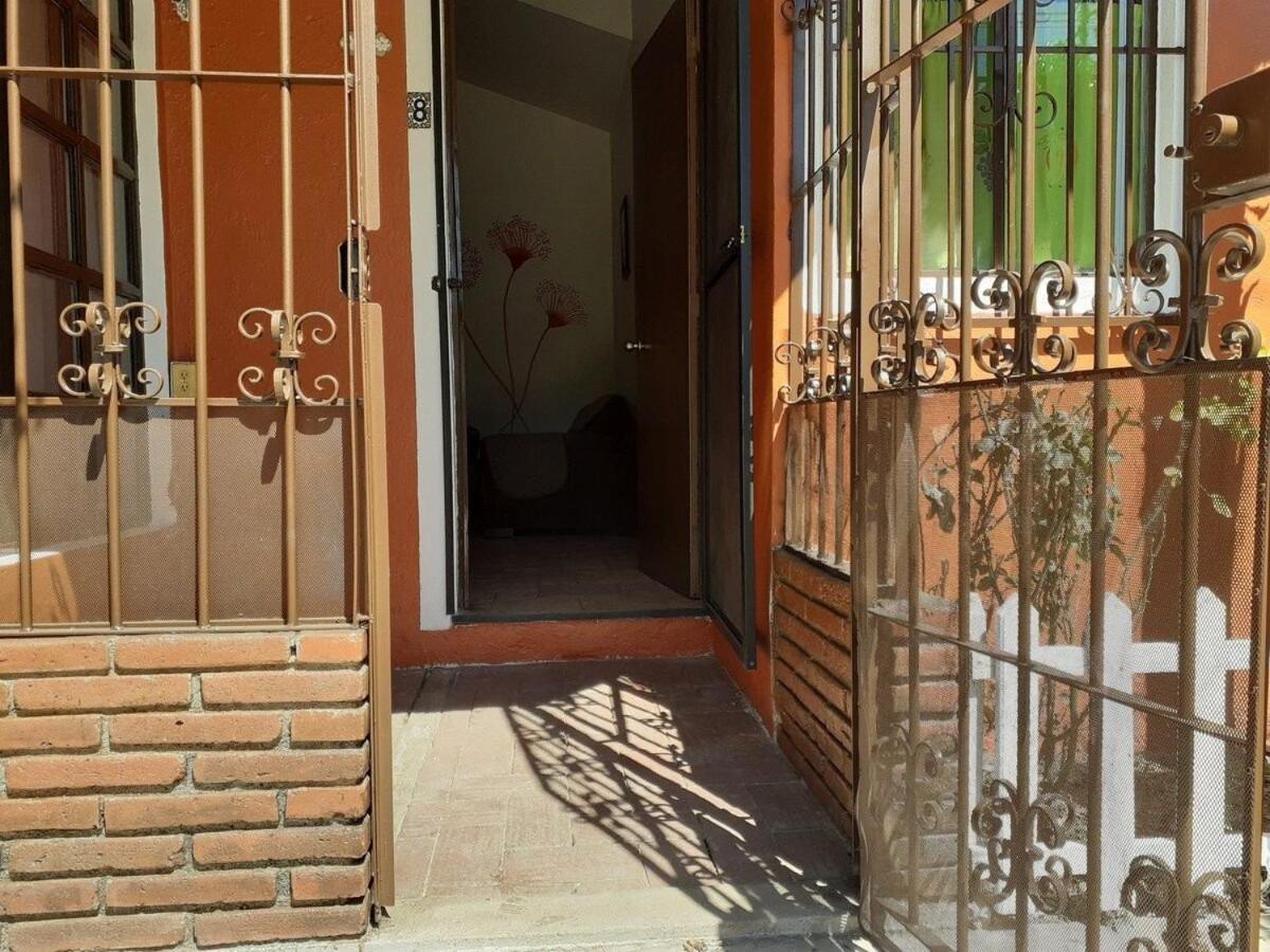 Photo 15