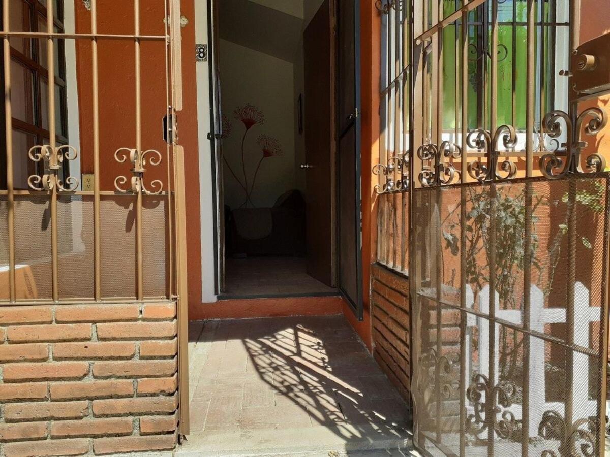 Photo 19