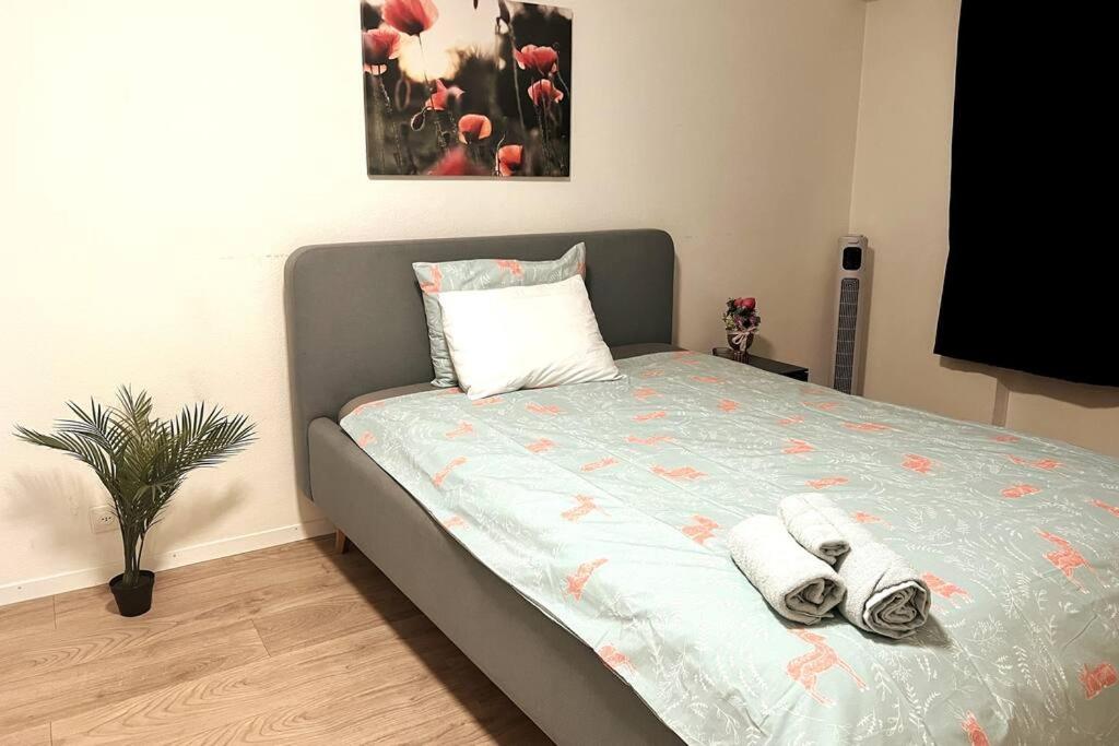 2.5 Rooms Furnished Apartment in Luzern Nr 12 view 3