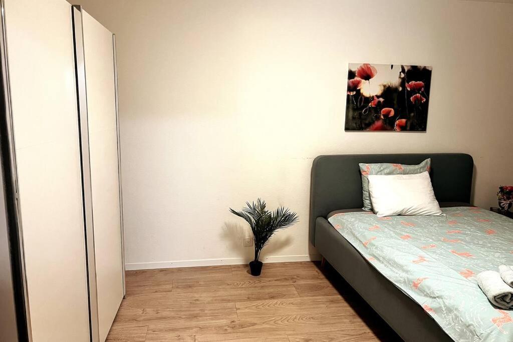 2.5 Rooms Furnished Apartment in Luzern Nr 12 view 5