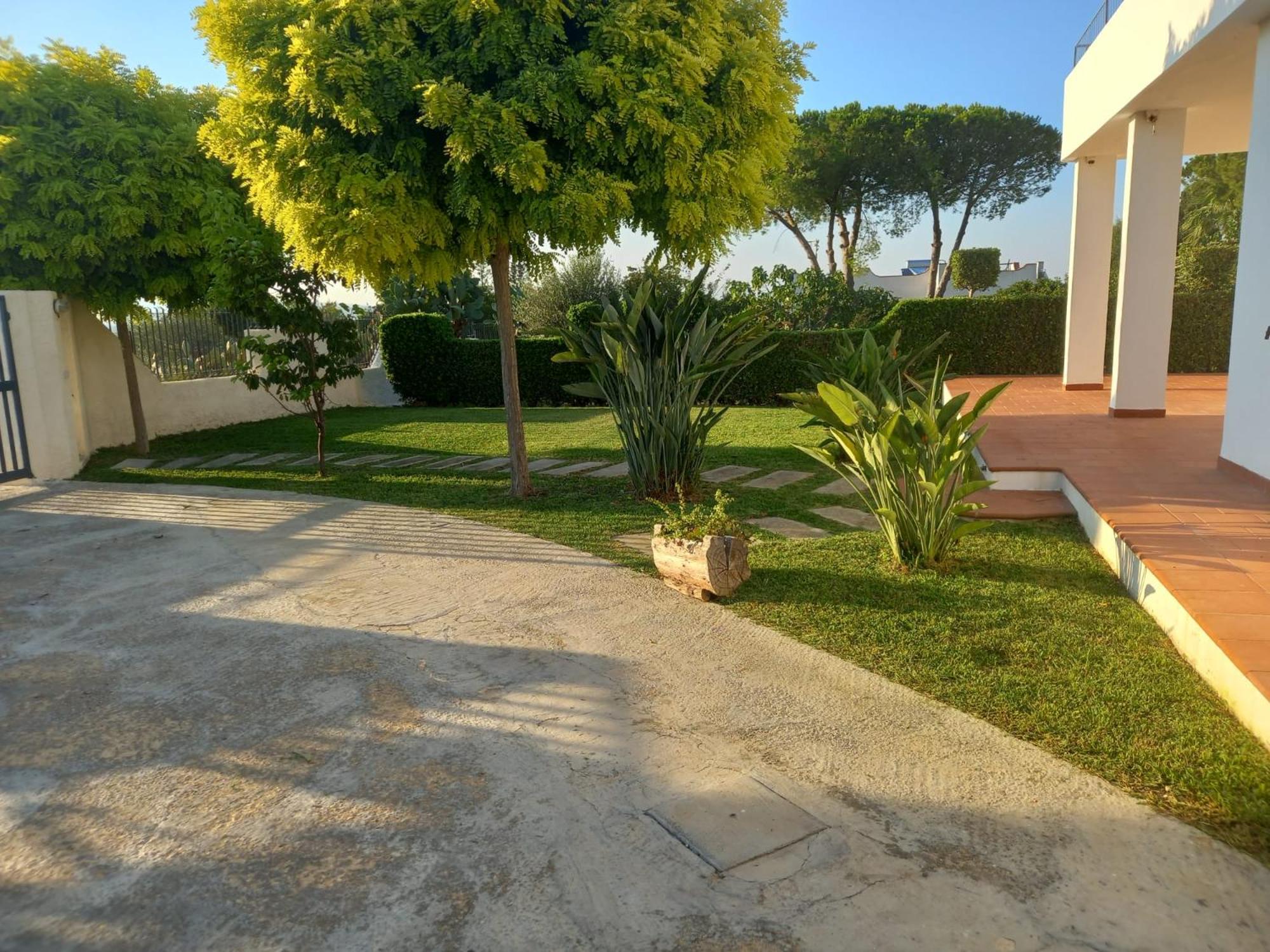 Photo 44