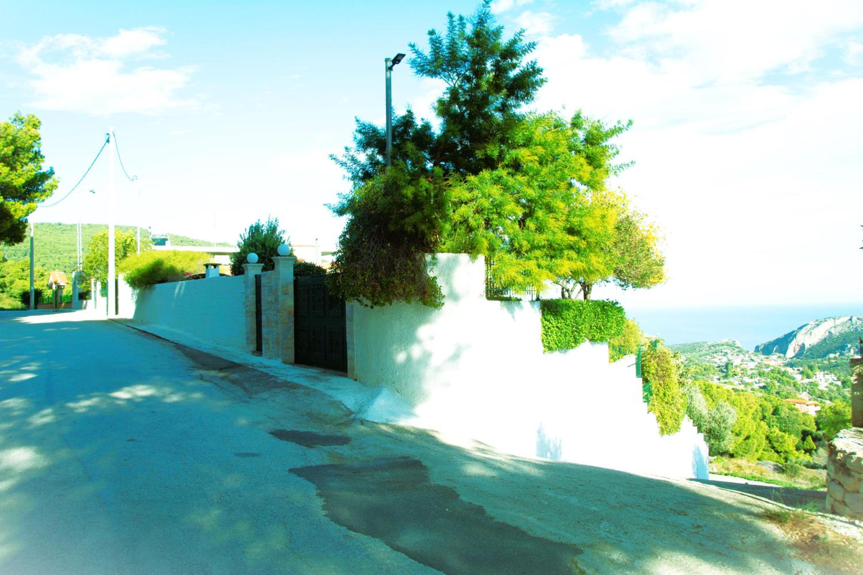 Photo 41
