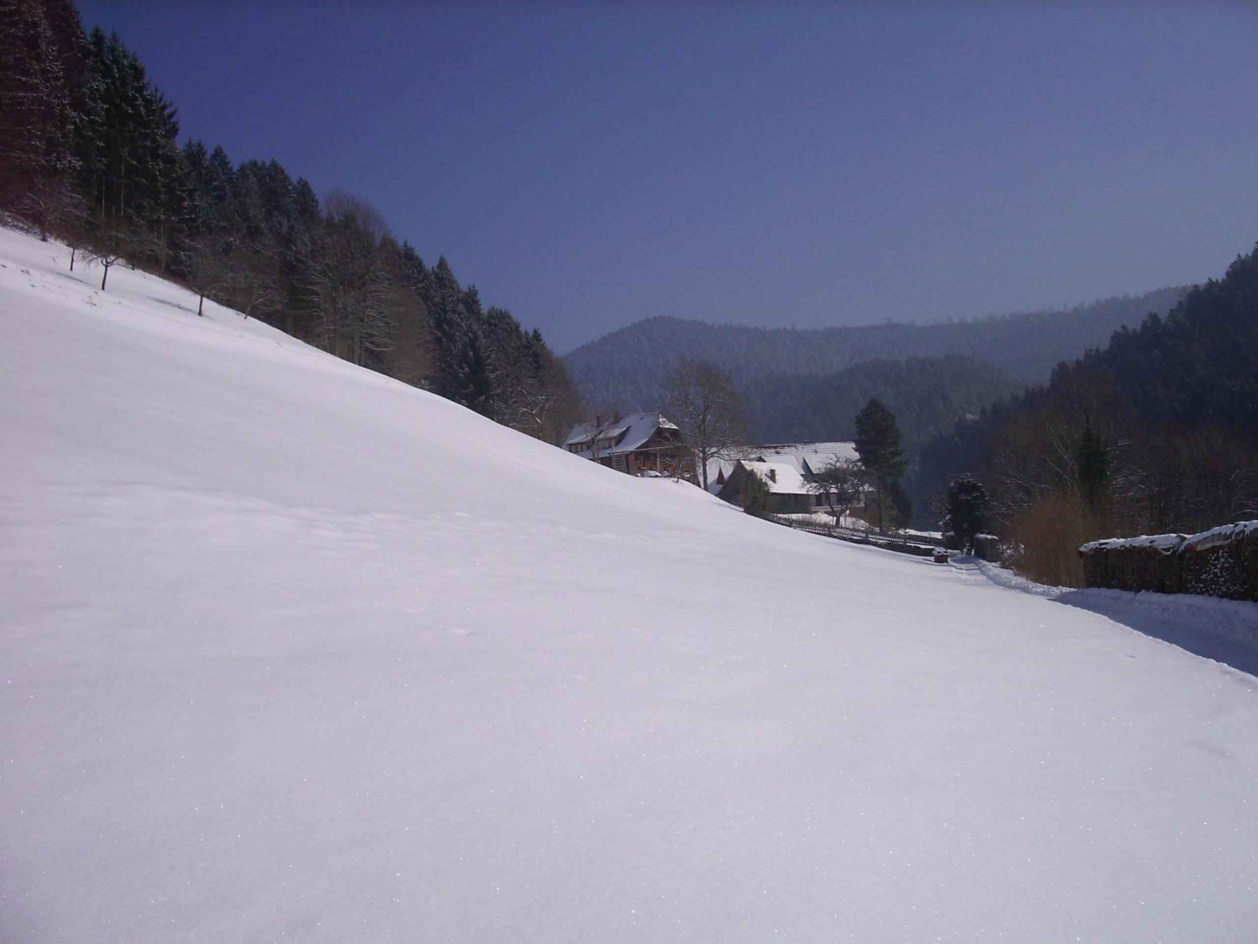 Vogtshof