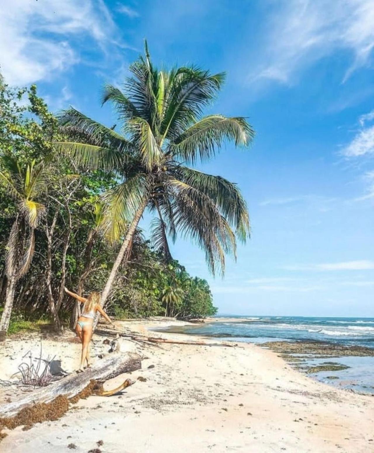 Casa Heliconia - spacious, big garden, close to the beach