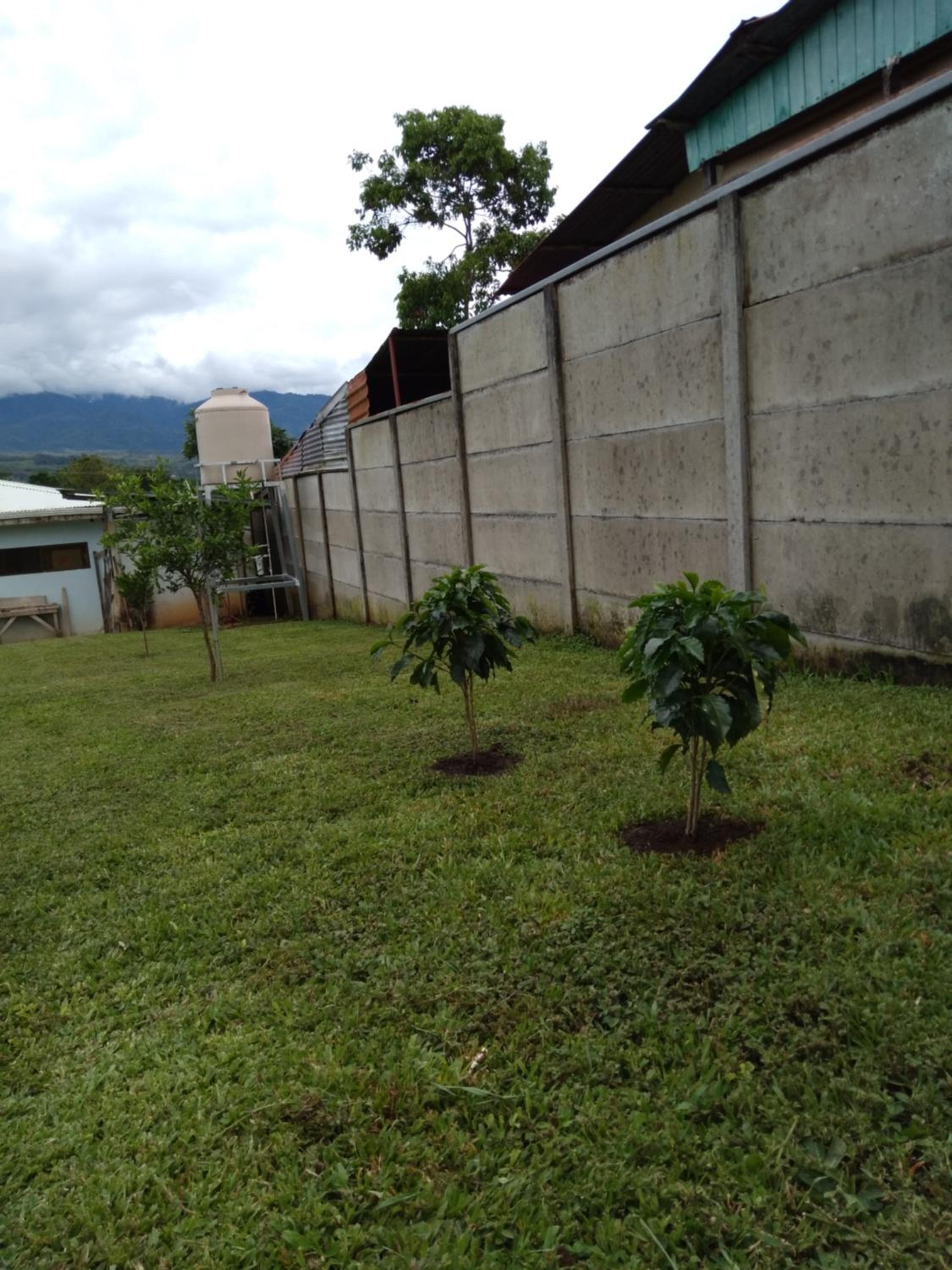 Lourdes home