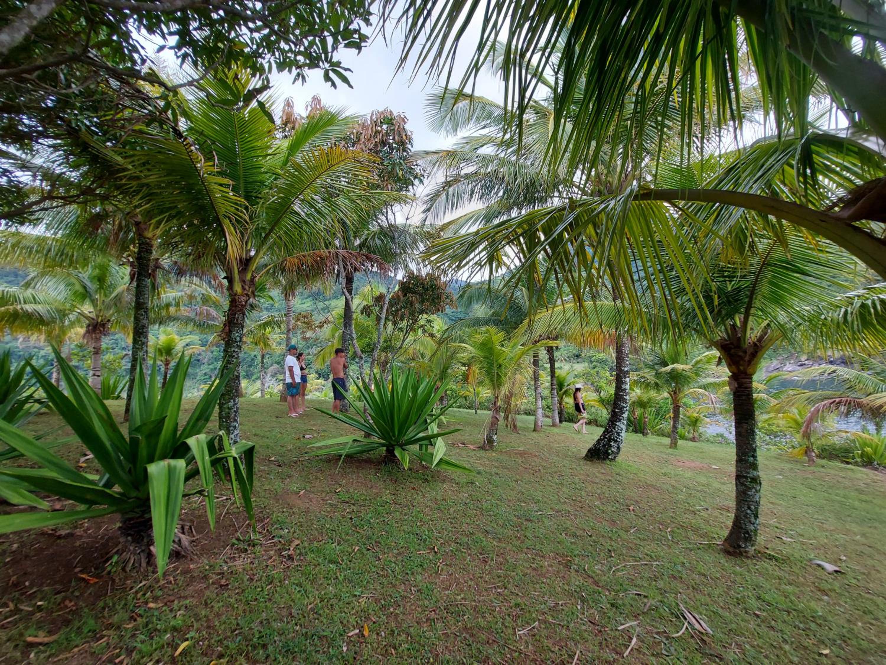 QUINTAL DA MATA