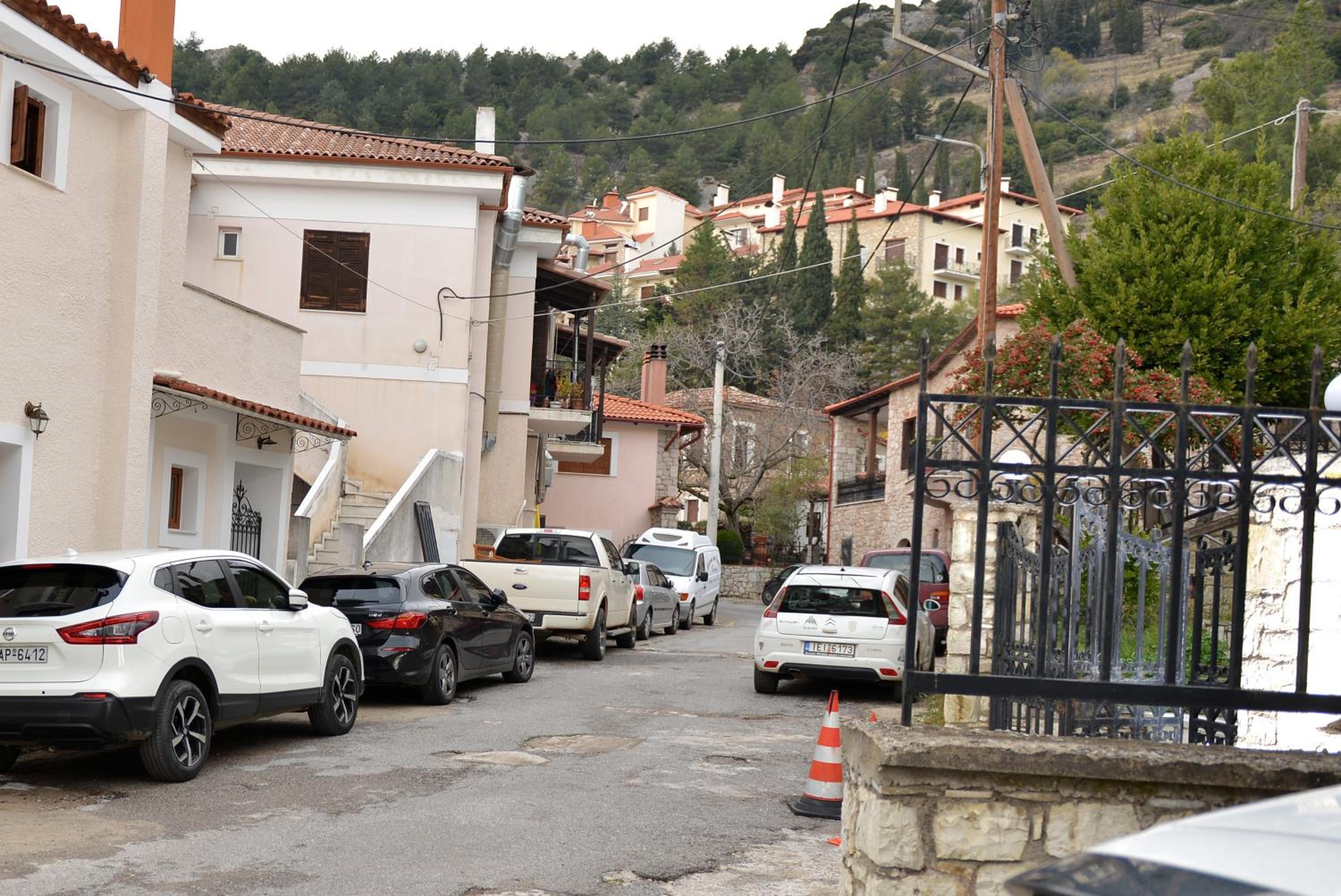Snow Chalets Parnassos Arachova's Nest view 5