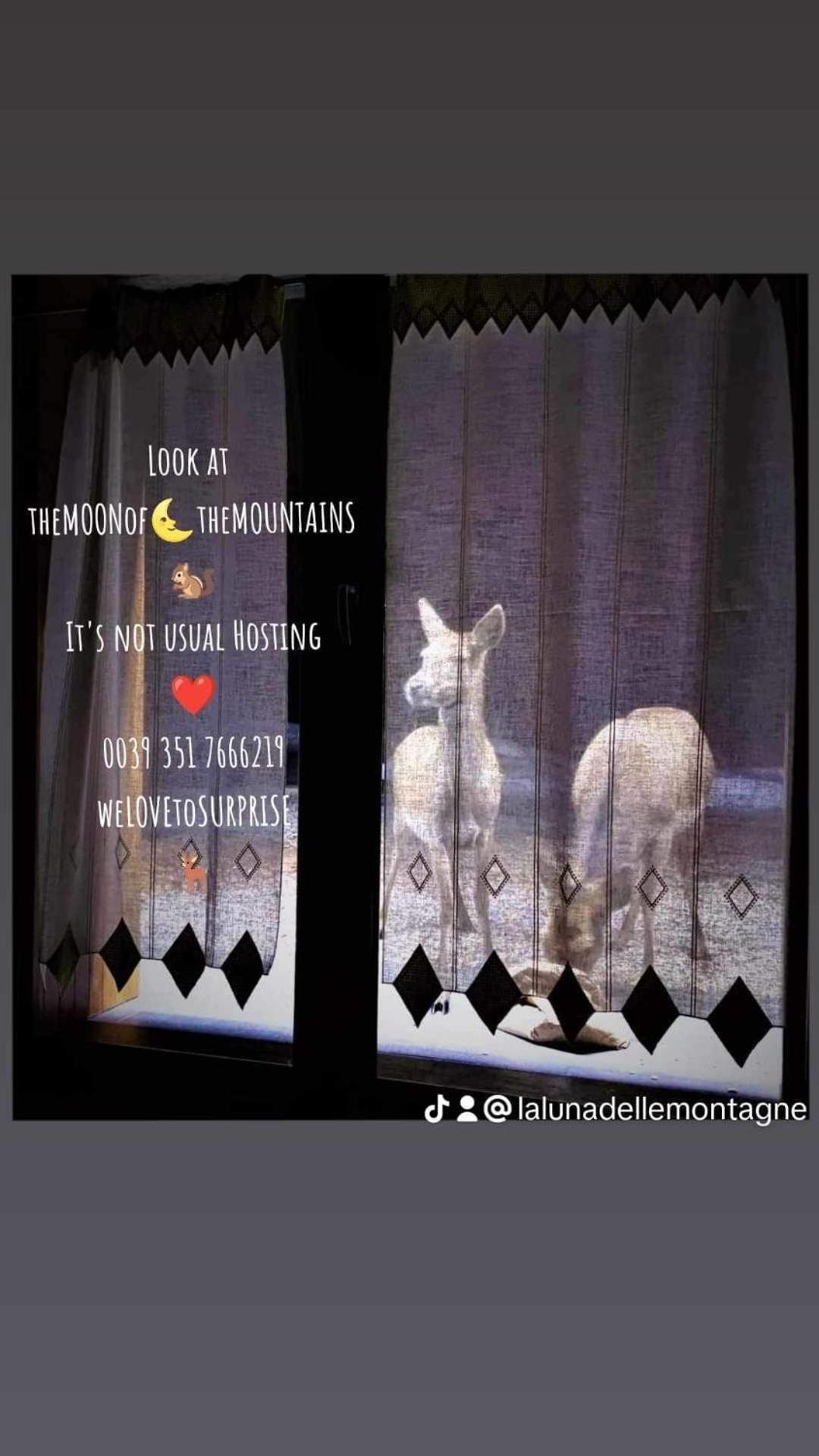 la LUNA delle MONTAGNE Charme & SPA Chalet photo 4