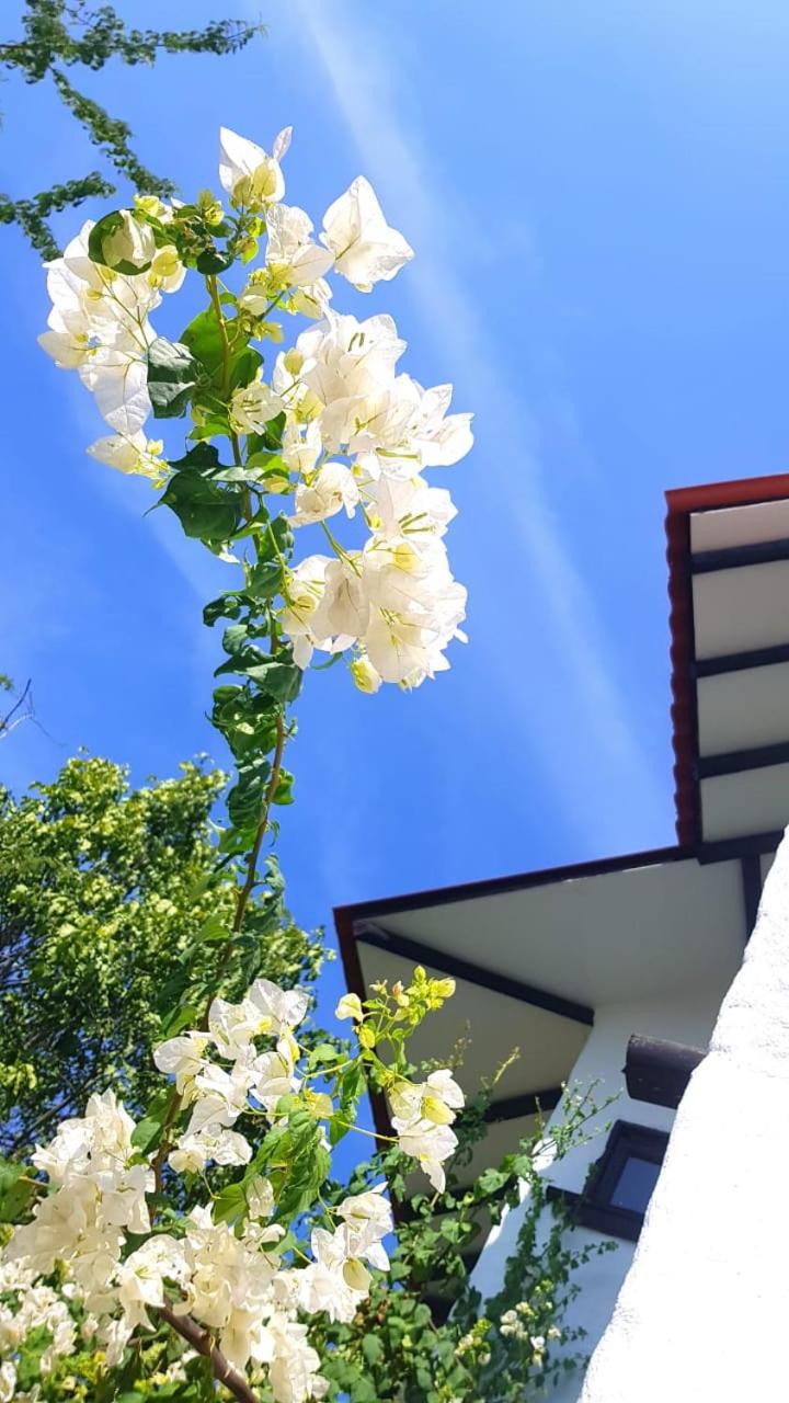 Santa Marta Vacations - Cabana Recinto del Pensar - Property Image 85