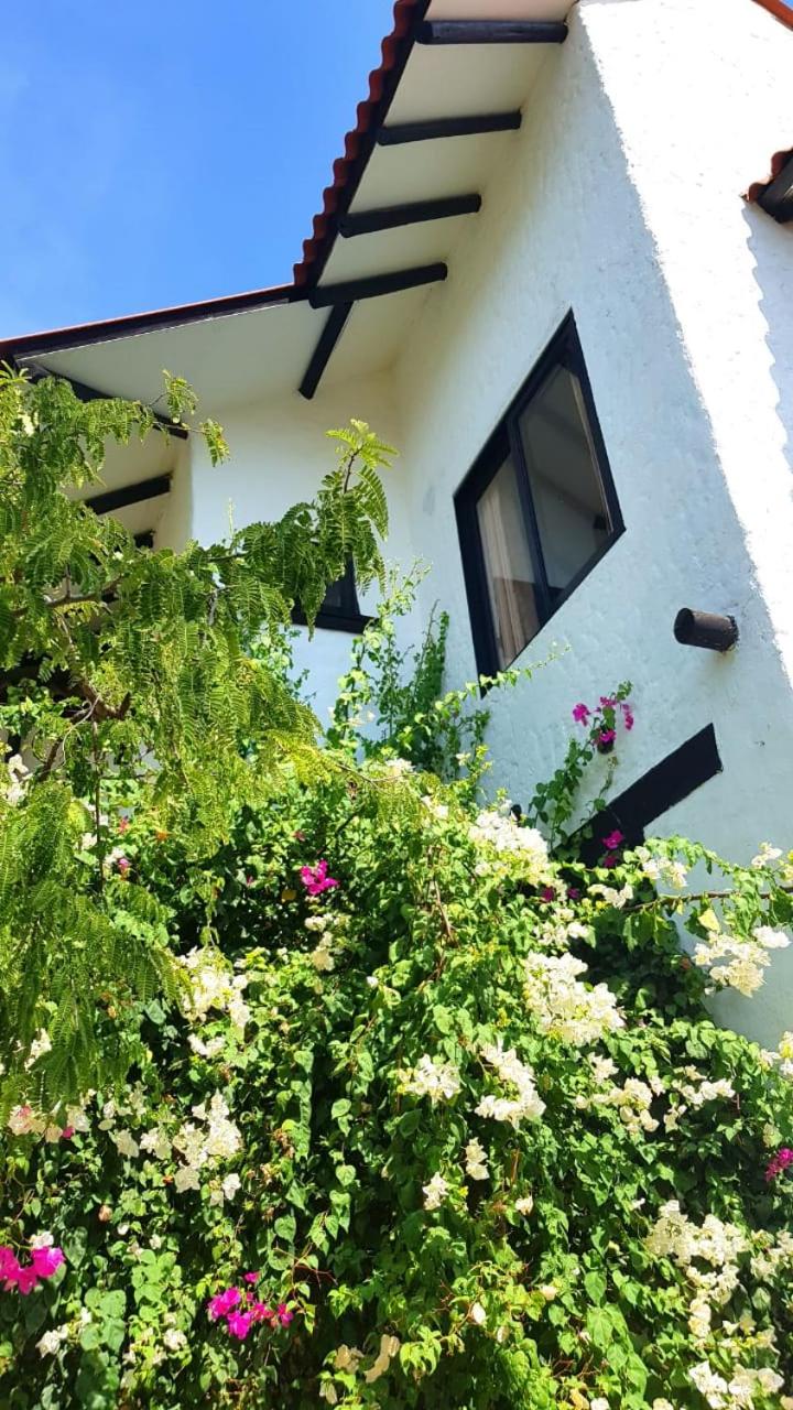 Santa Marta Vacations - Cabana Recinto del Pensar - Property Image 36