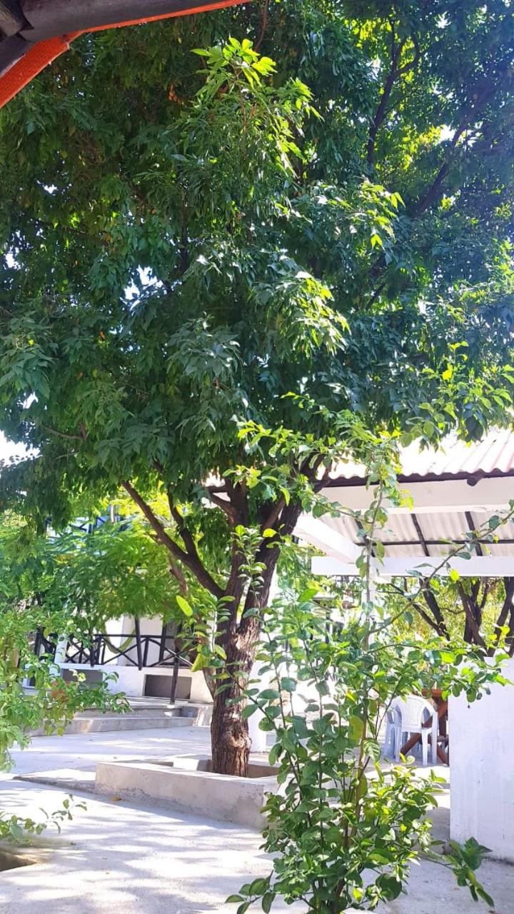 Santa Marta Vacations - Cabana Recinto del Pensar - Property Image 38