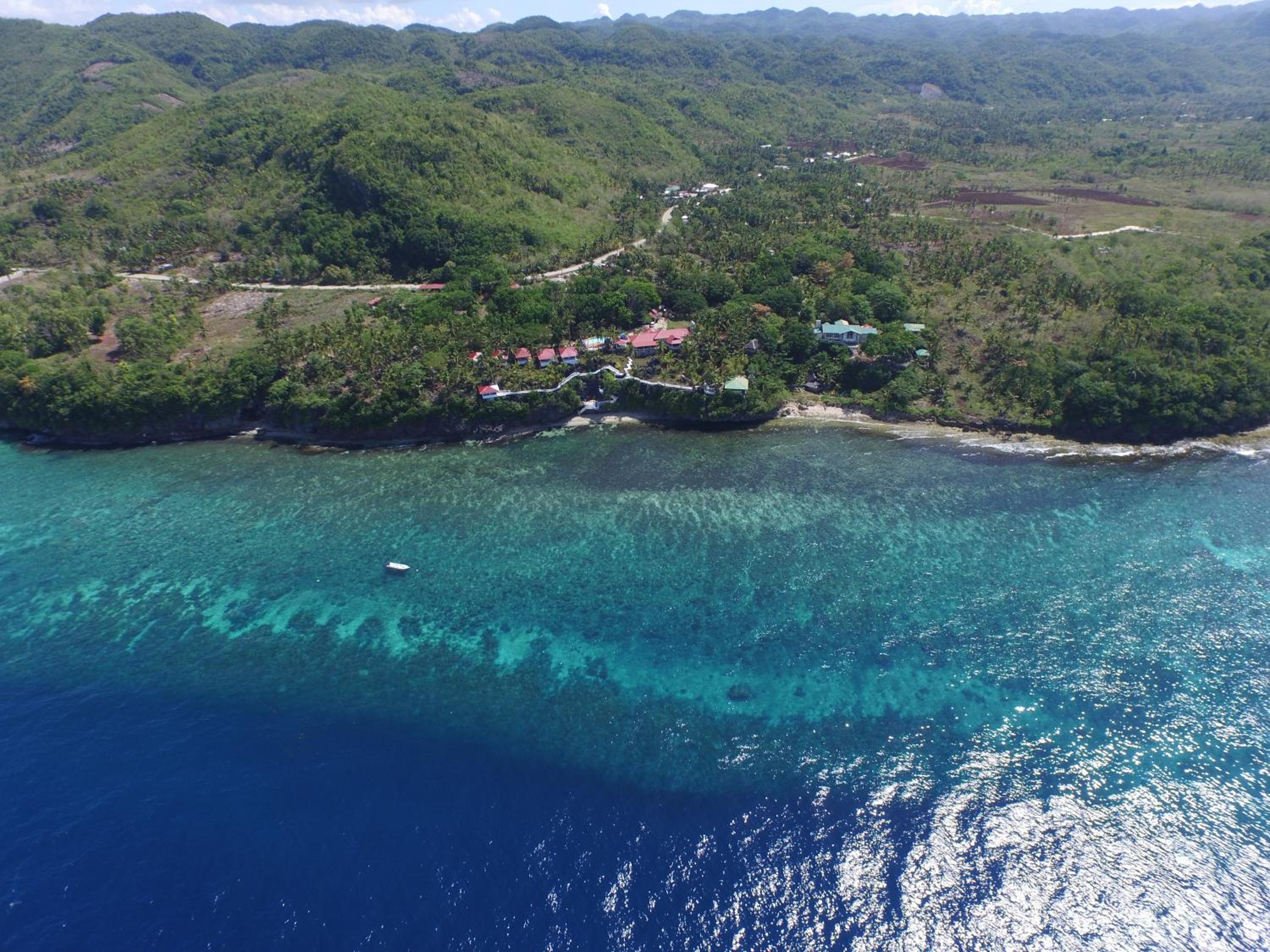 Blue Star Dive and Resort