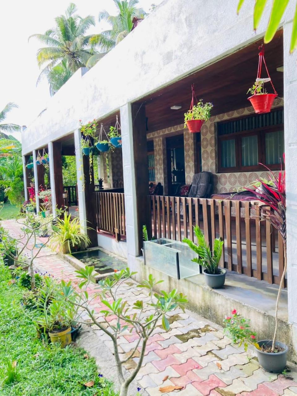Mangroves homestay