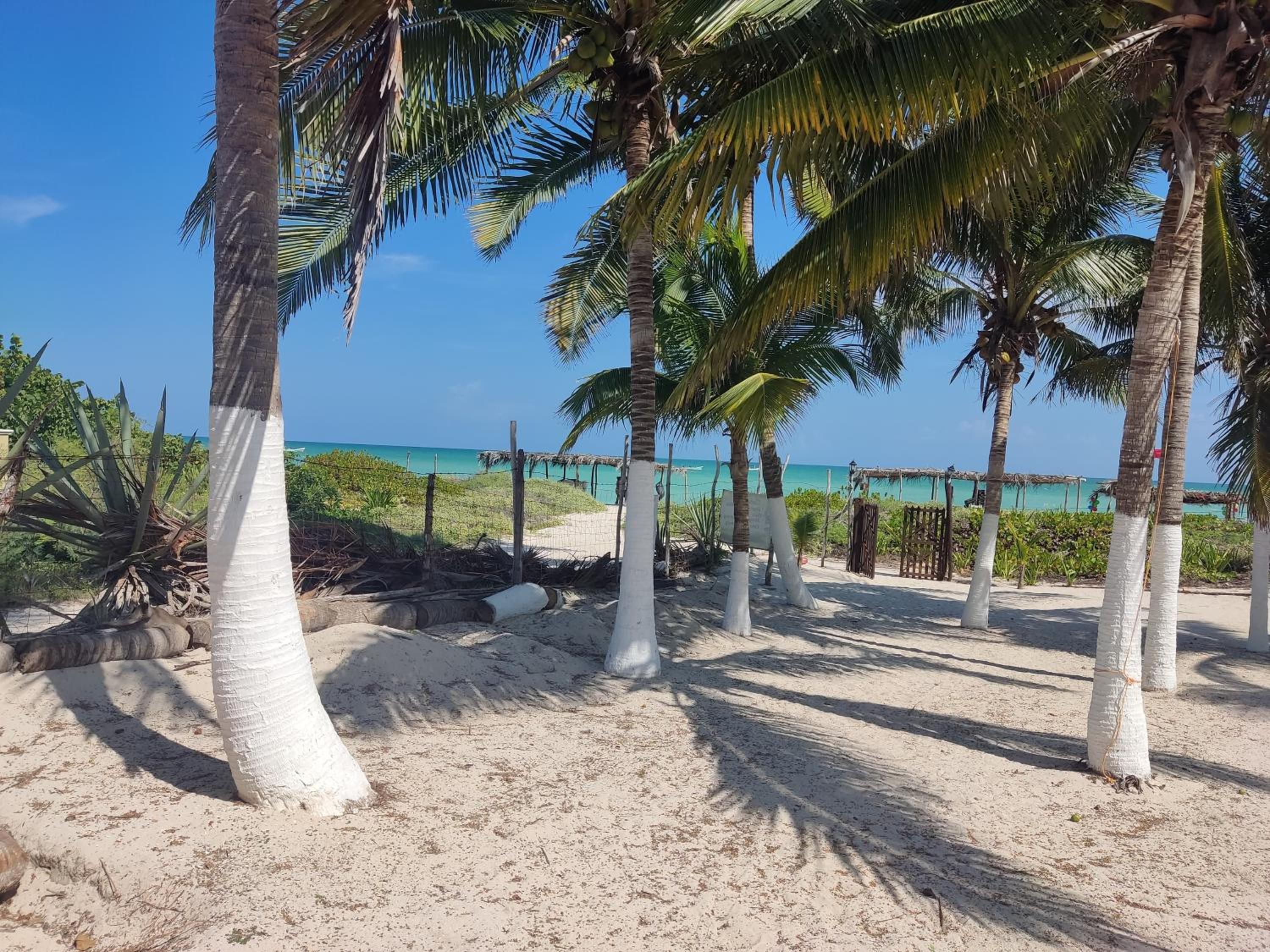 Historic Beachfront Home On Sisal Beach view 3
