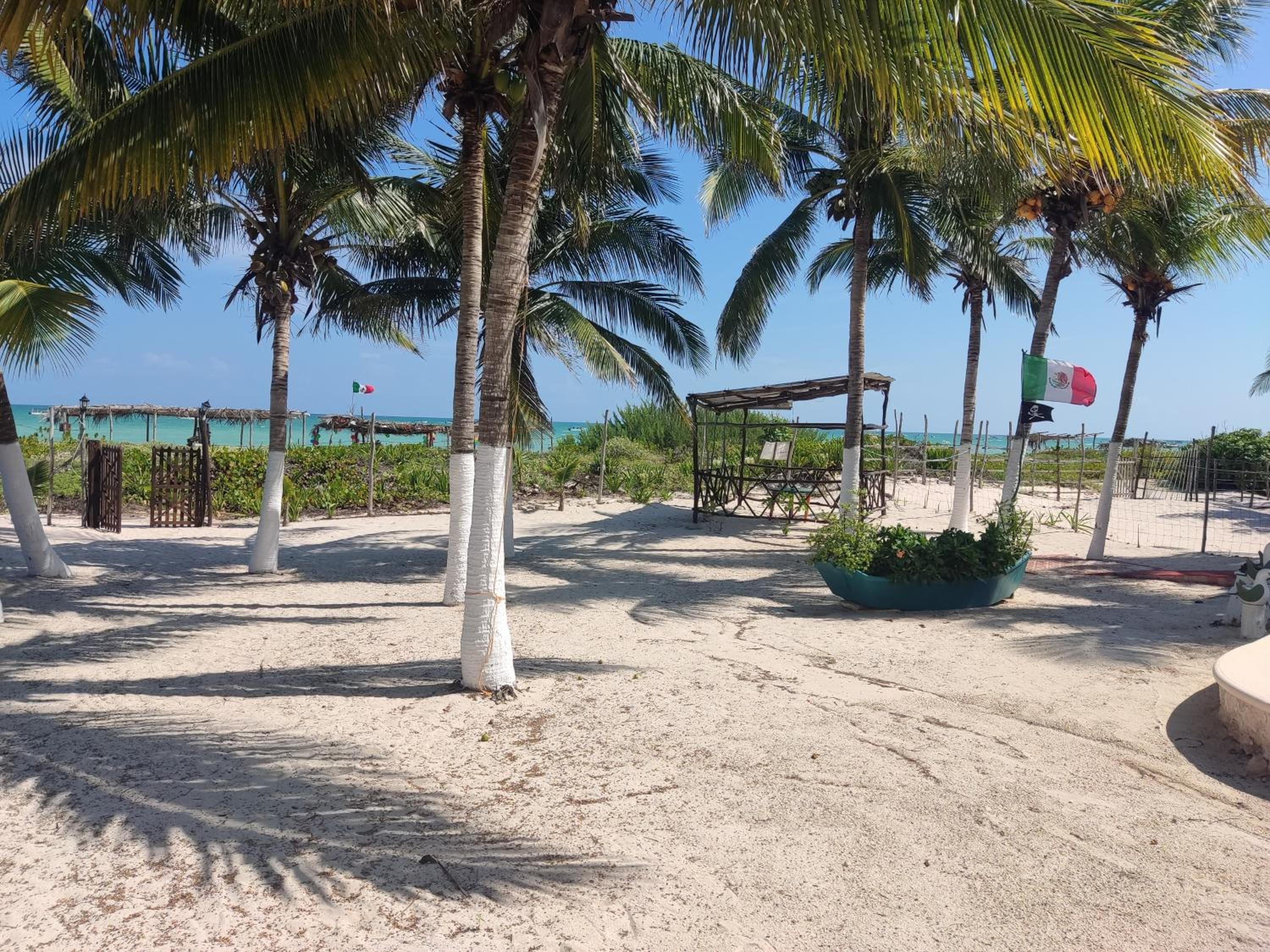Historic Beachfront Home On Sisal Beach view 4