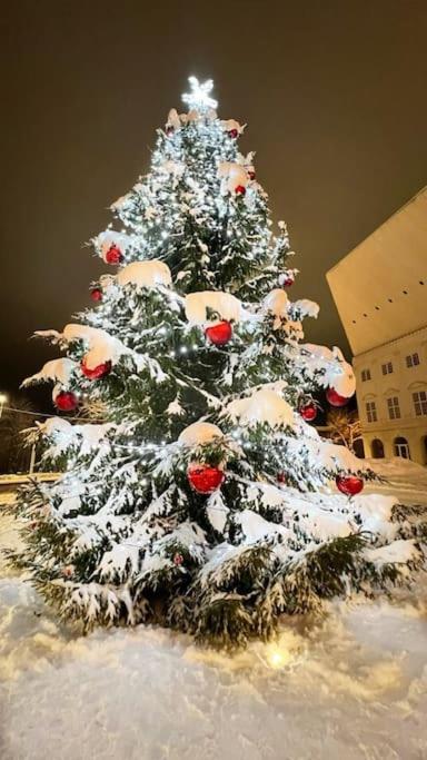 Comfort Apartment In Narva City Center