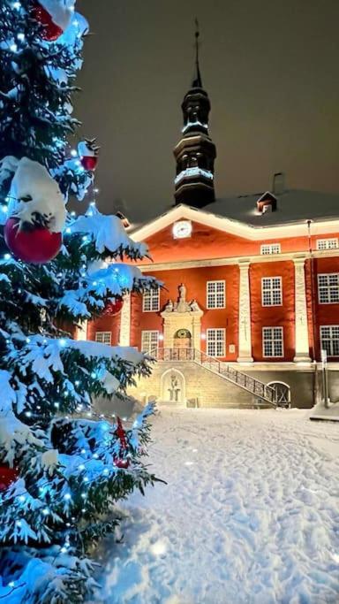 Comfort Apartment In Narva City Center