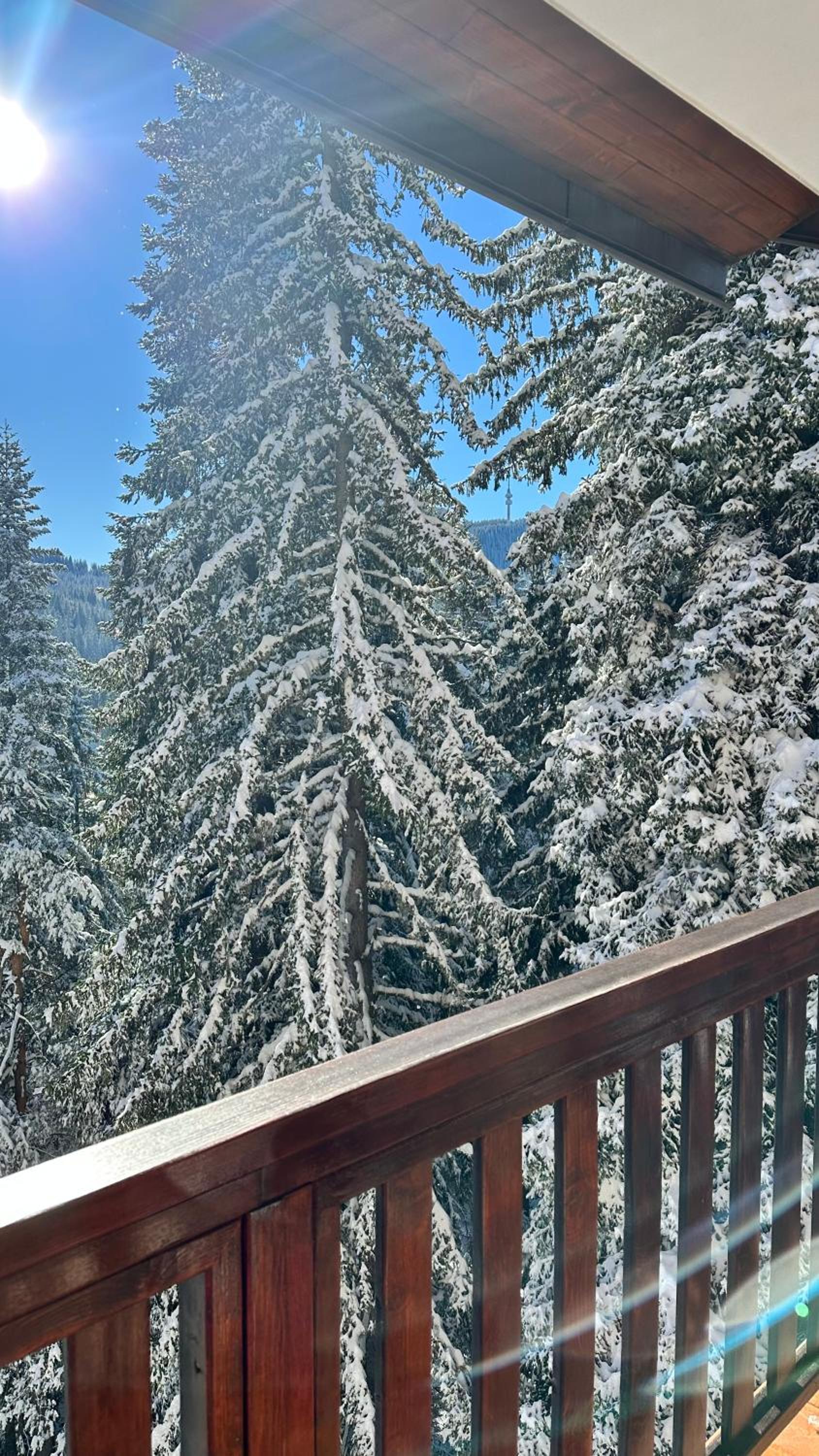 ELEA Apartment Mountain Lodge Pamporovo
