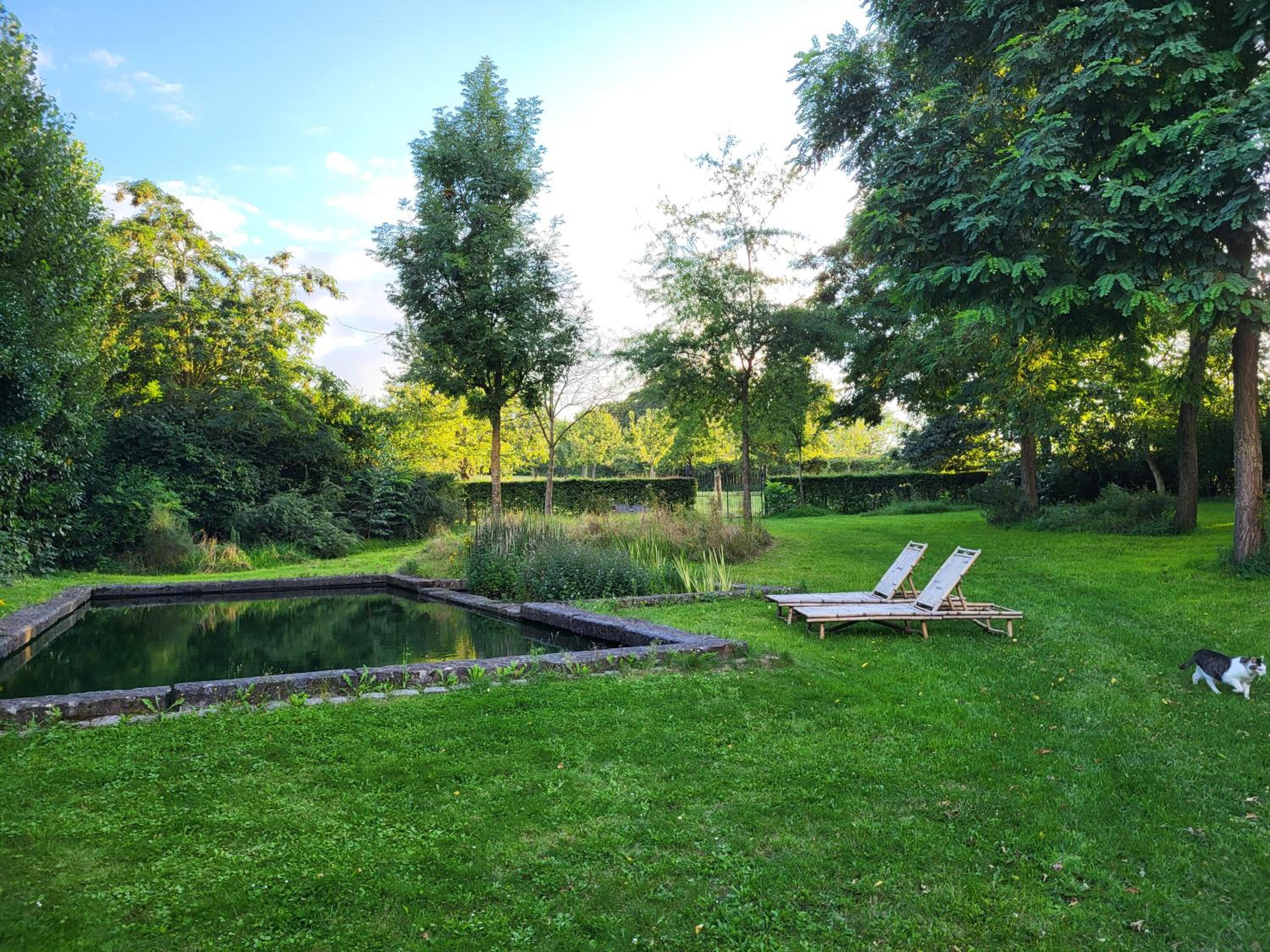 Charming and cosy ART DECO house in old historic farm with private natural pool and gardens with hiking and cycling trails nearby
