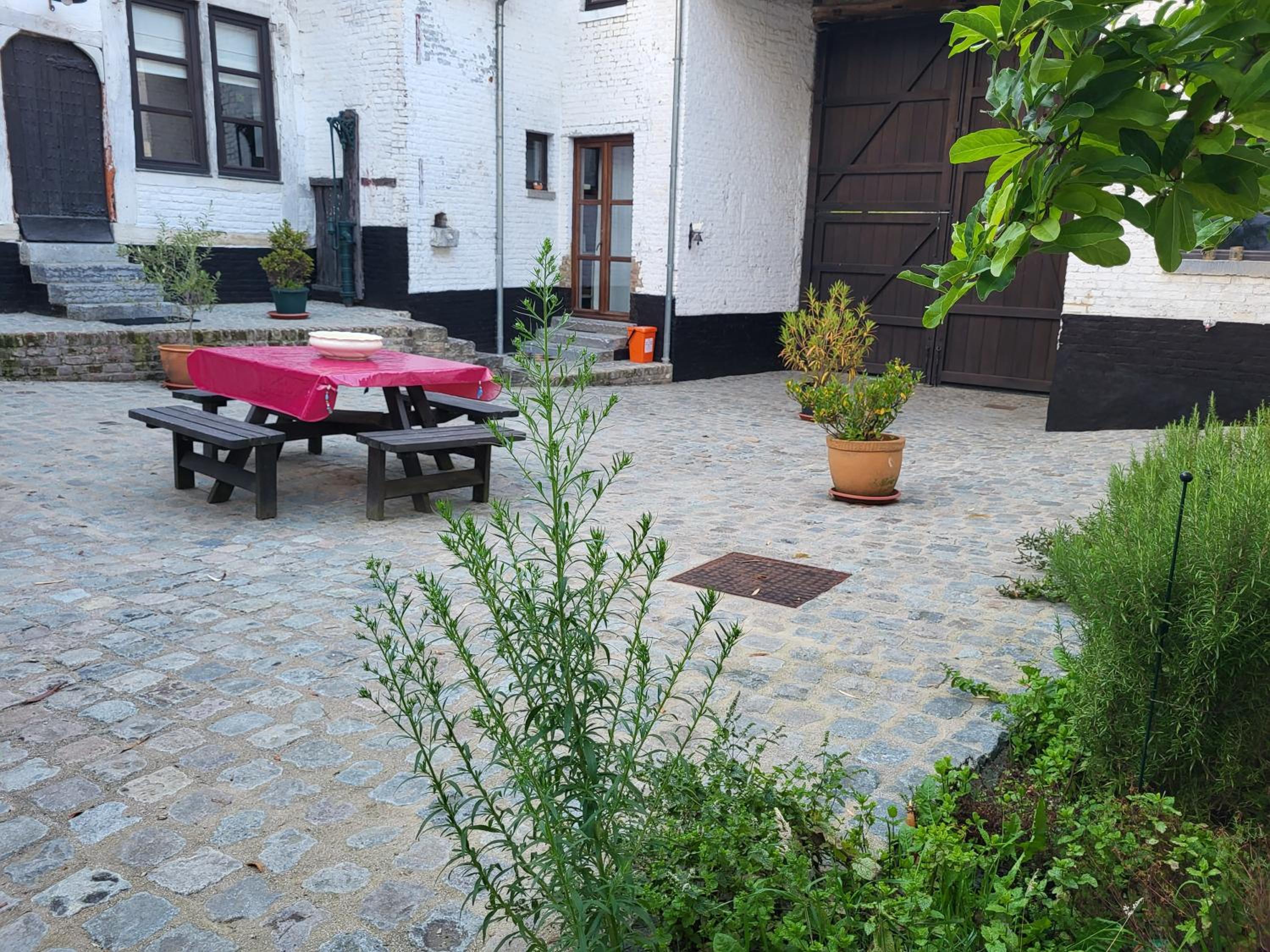 Charming and cosy ART DECO house in old historic farm with private natural pool and gardens with hiking and cycling trails nearby